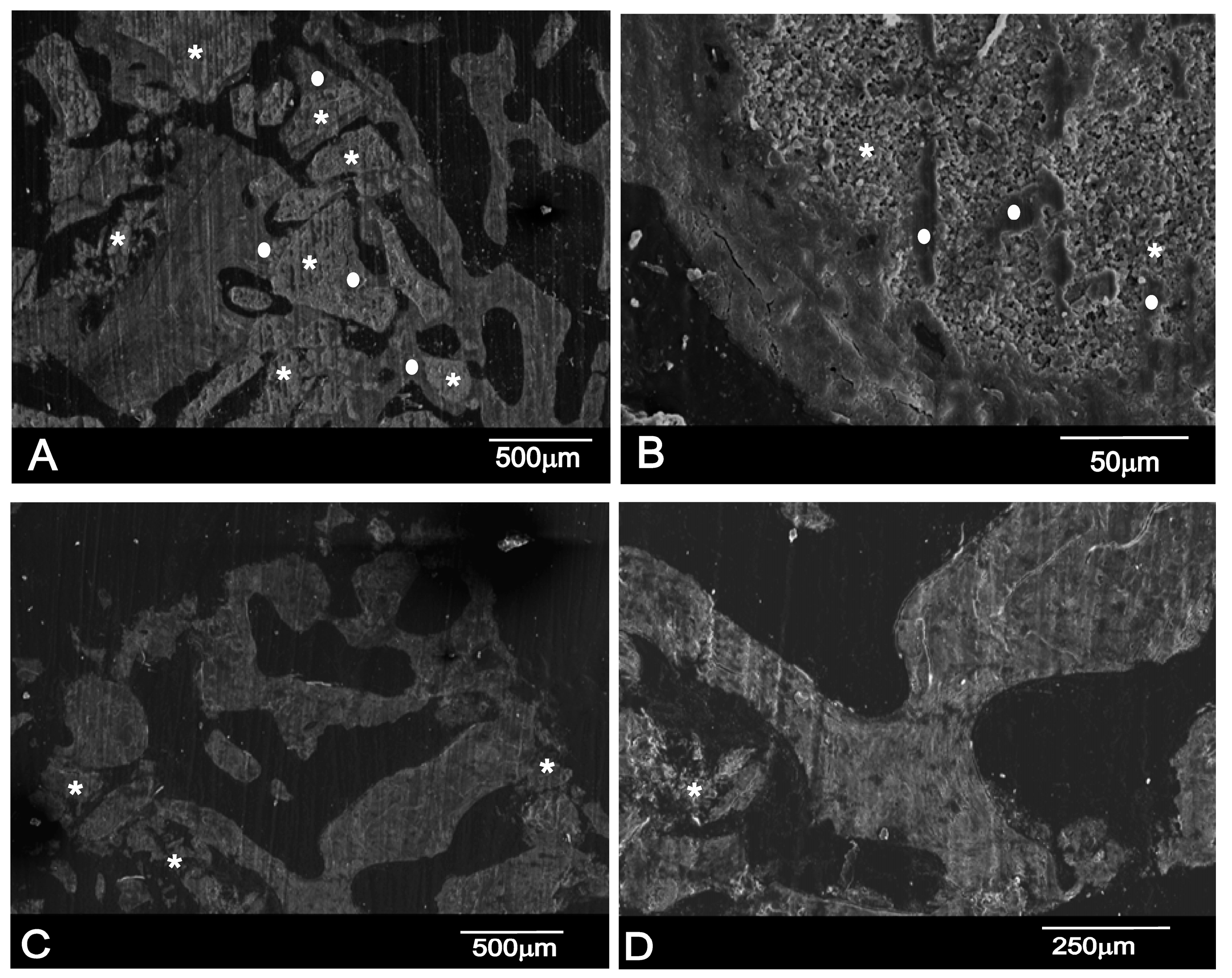 Materials 10 00623 g007