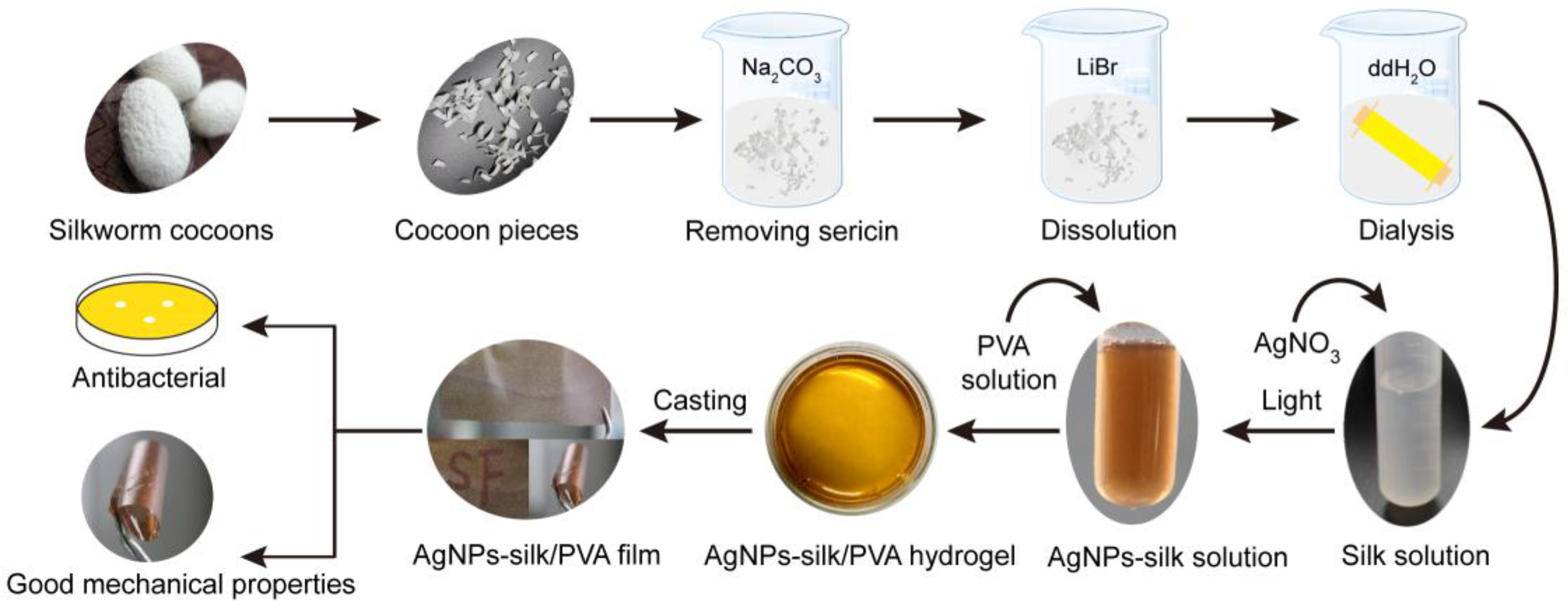 Materials Free FullText Biosynthesis and Characterization of AgNPs