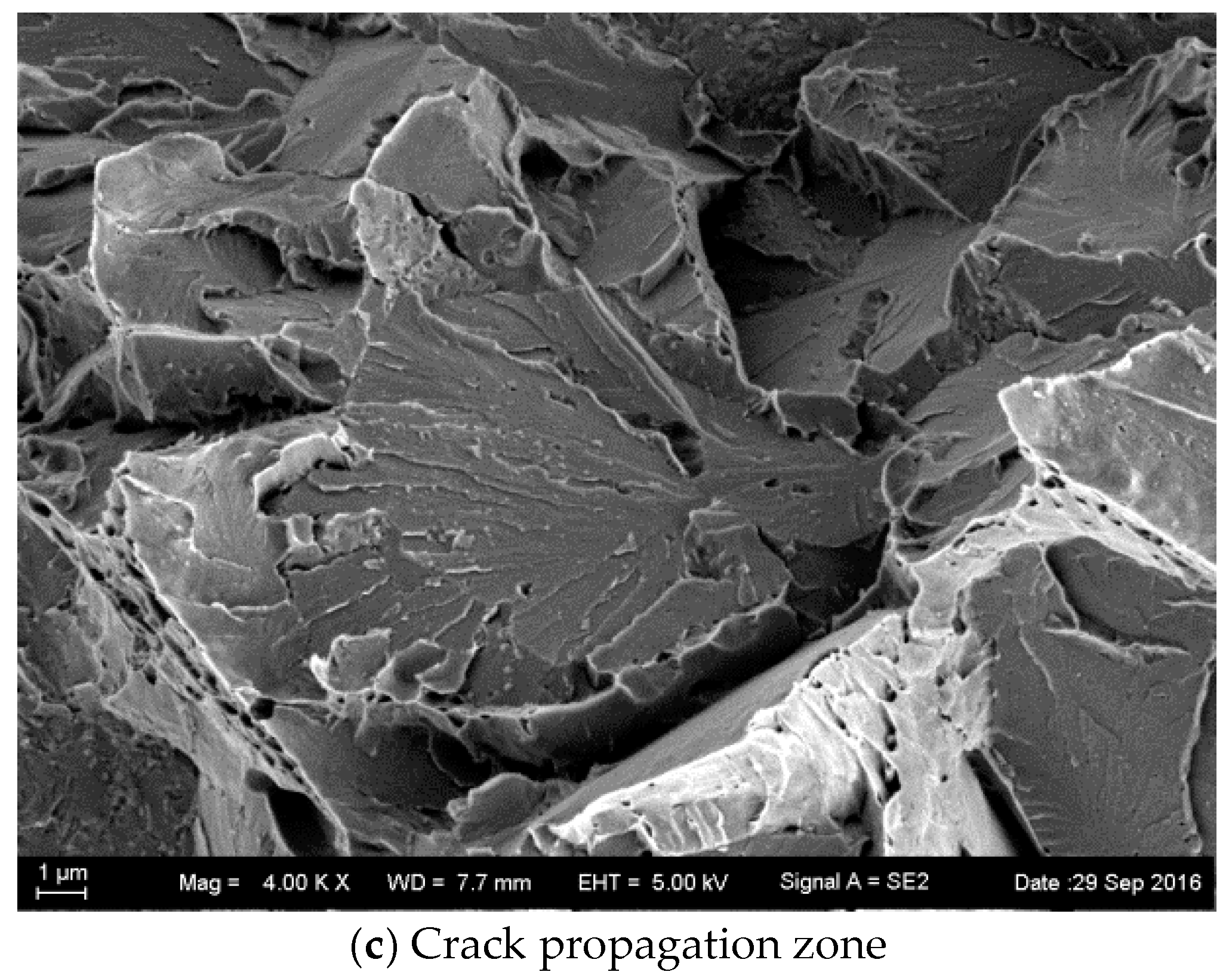 hydrogen embrittlement