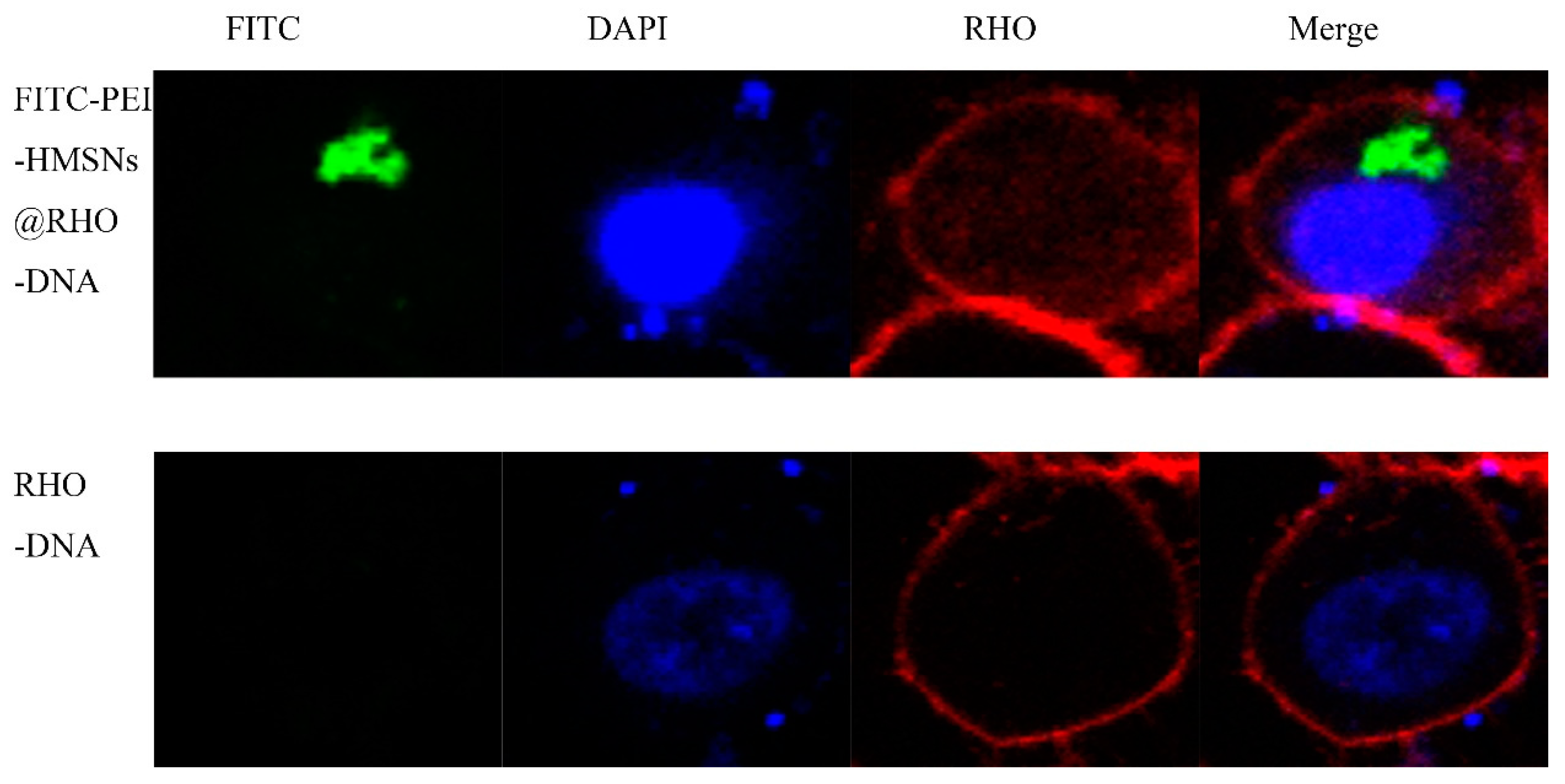 Materials 10 00731 g006