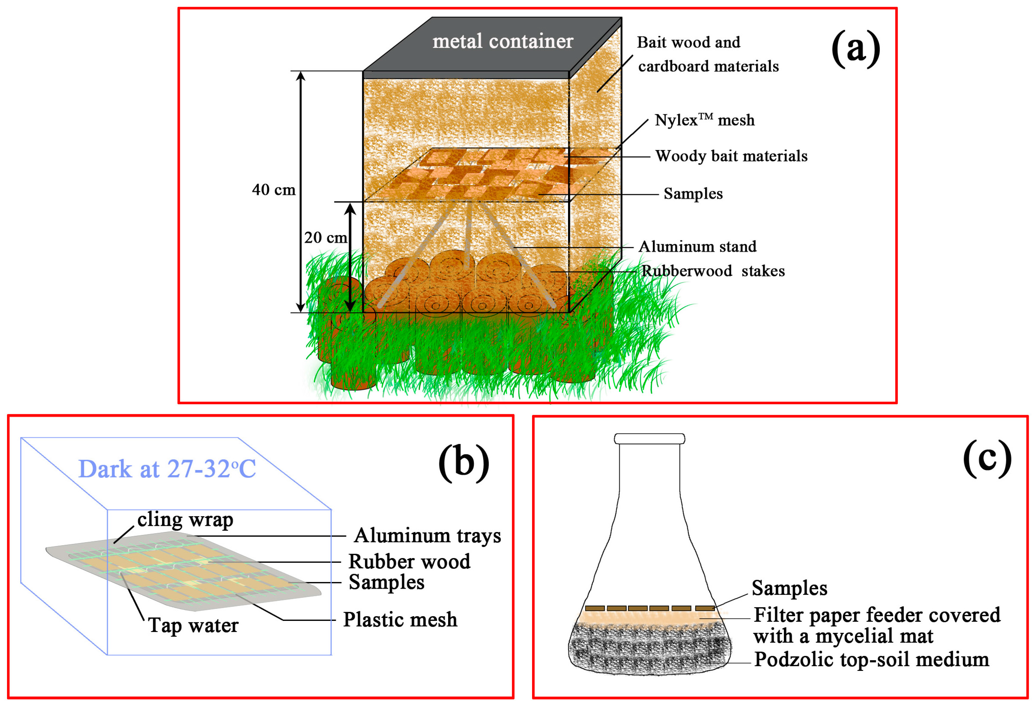 Materials 10 00789 g001