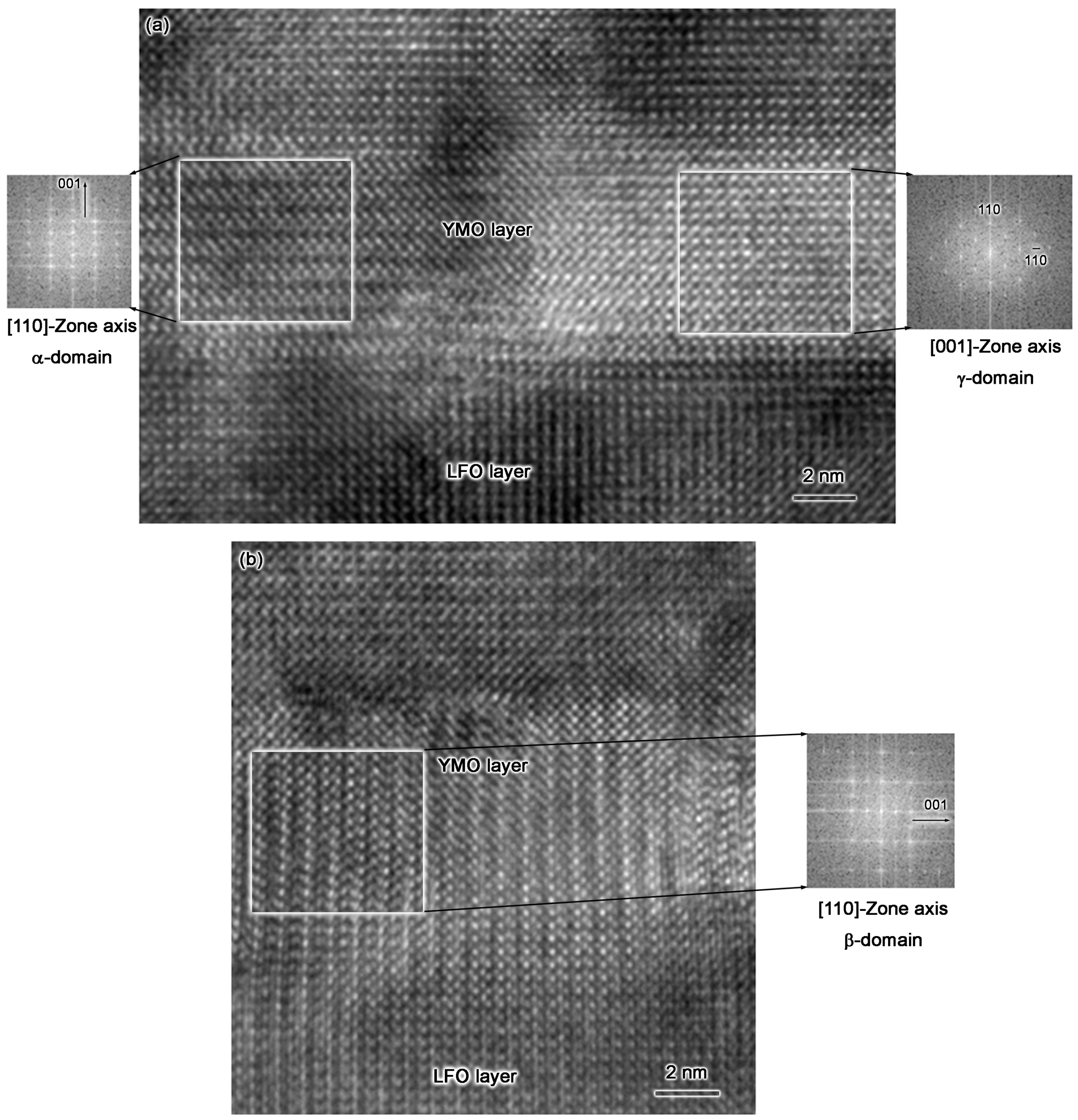 basic aspects of the quantum theory of solids