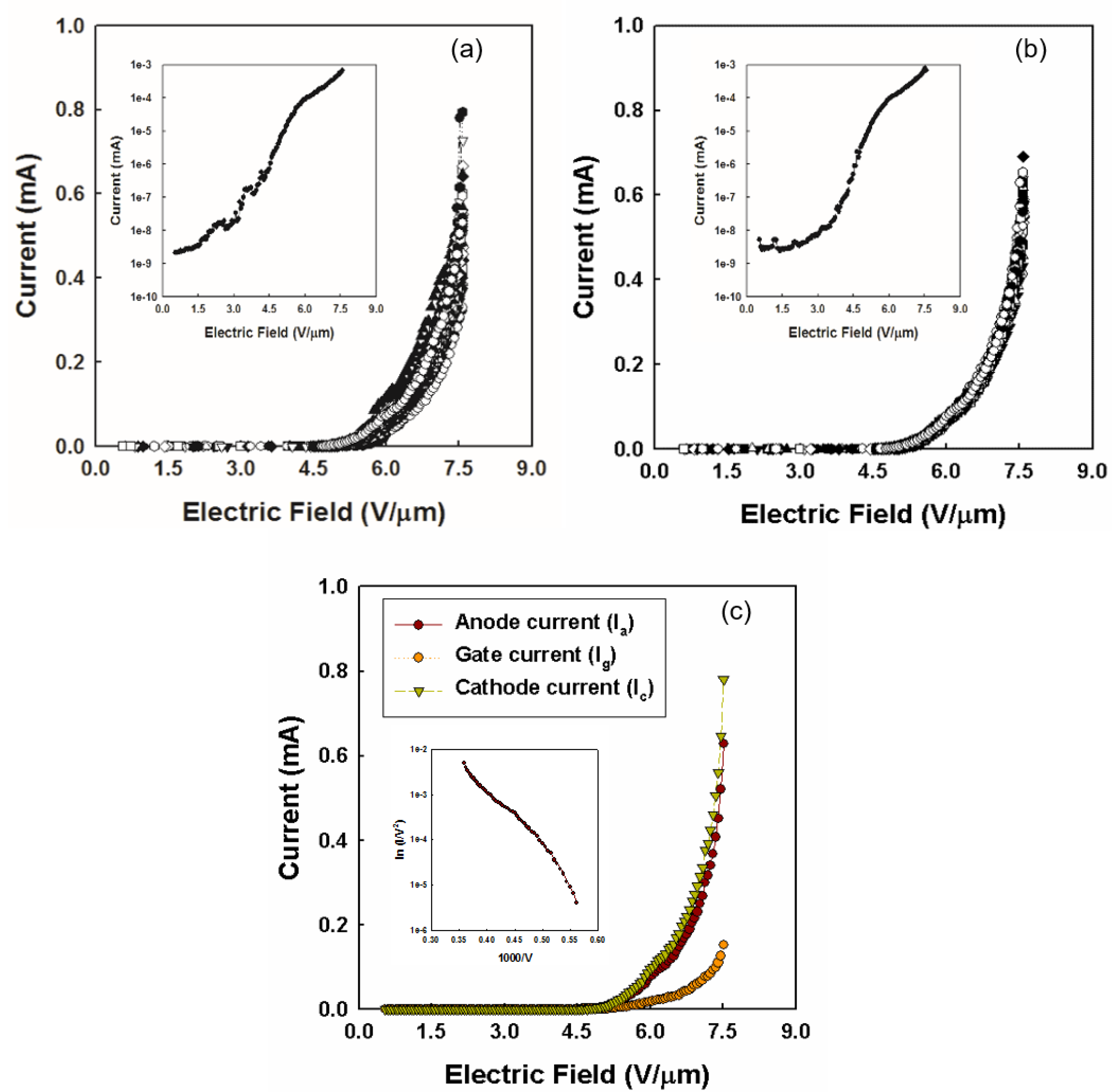 bioremediation of petroleum hydrocarbons in