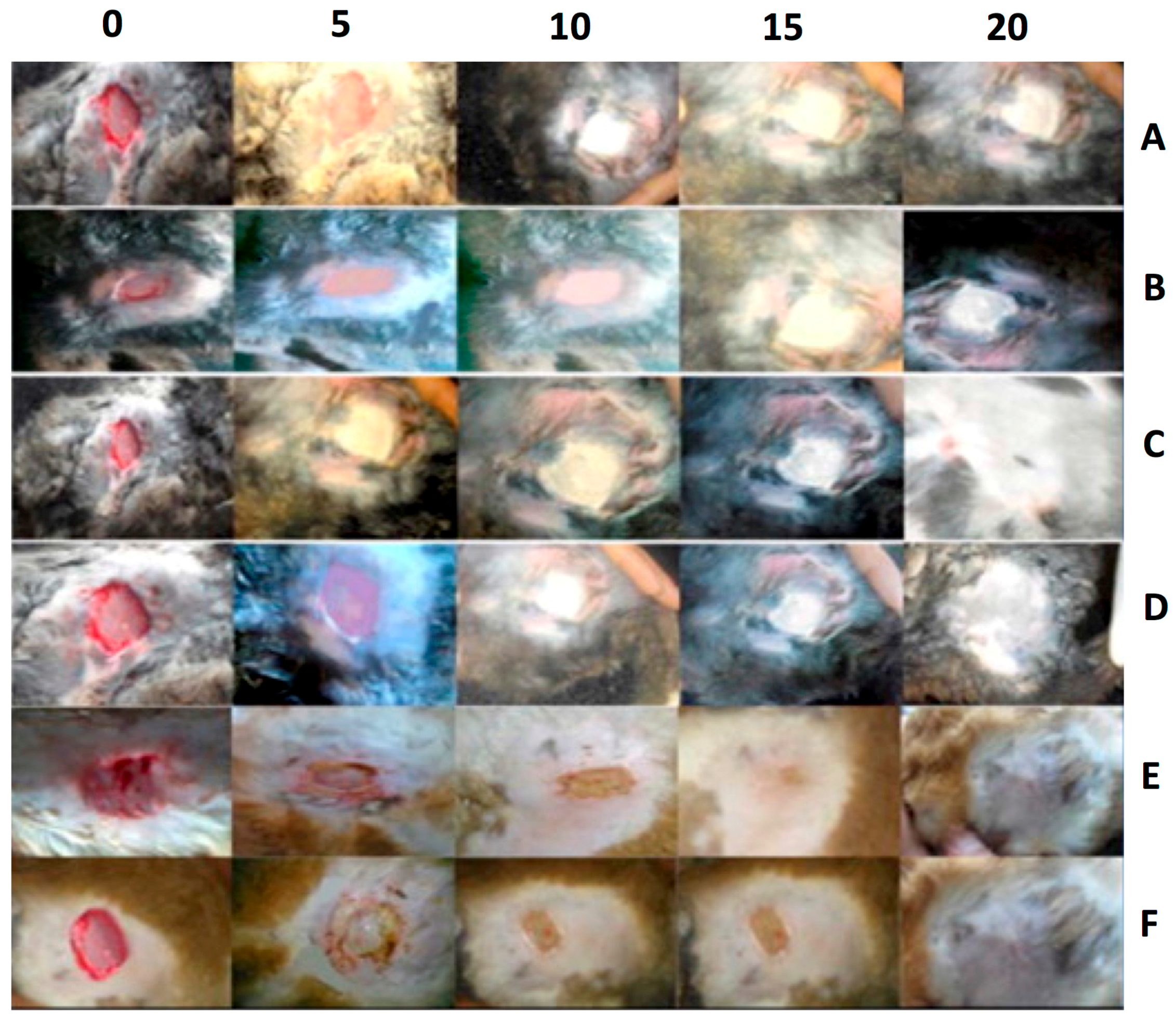 Materials 10 00929 g004