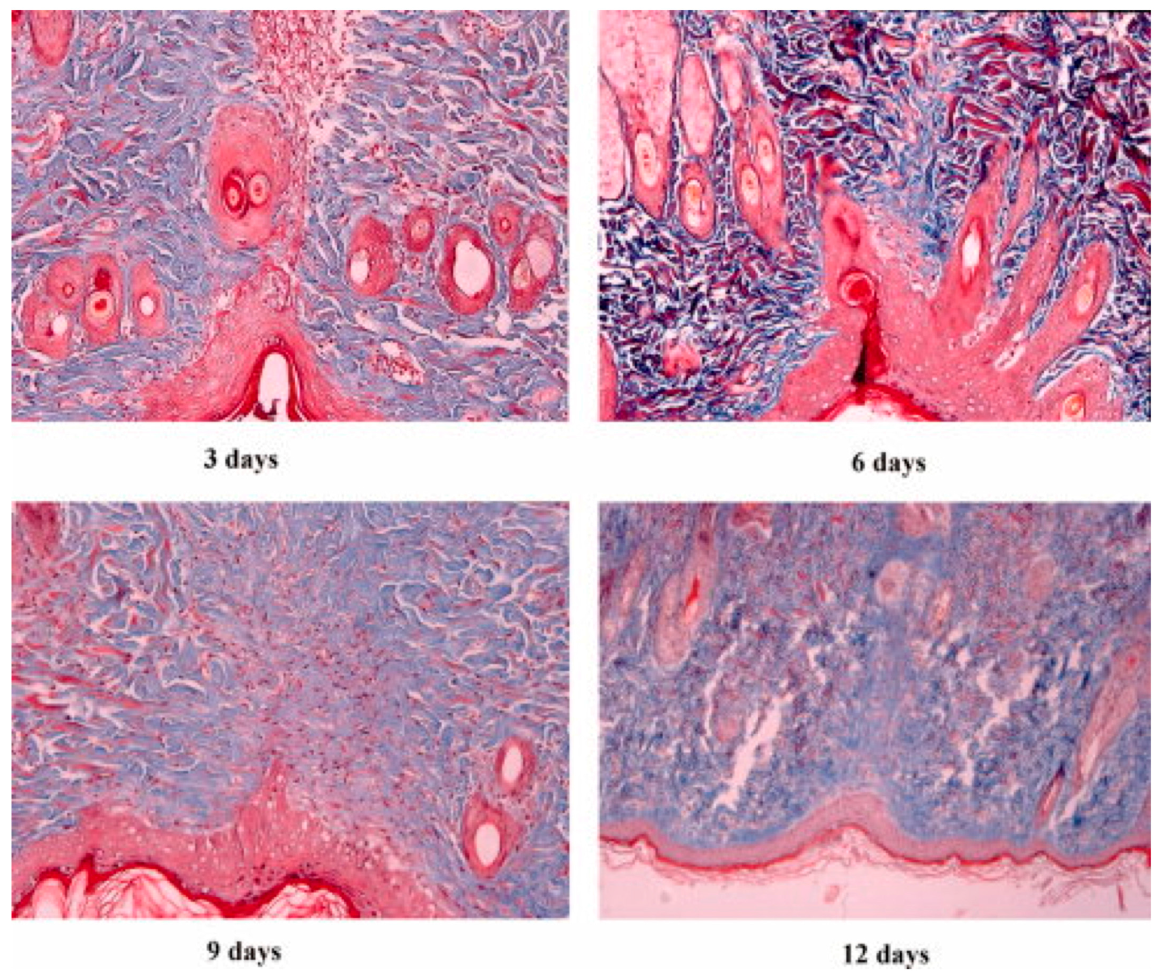 Materials 10 00929 g005