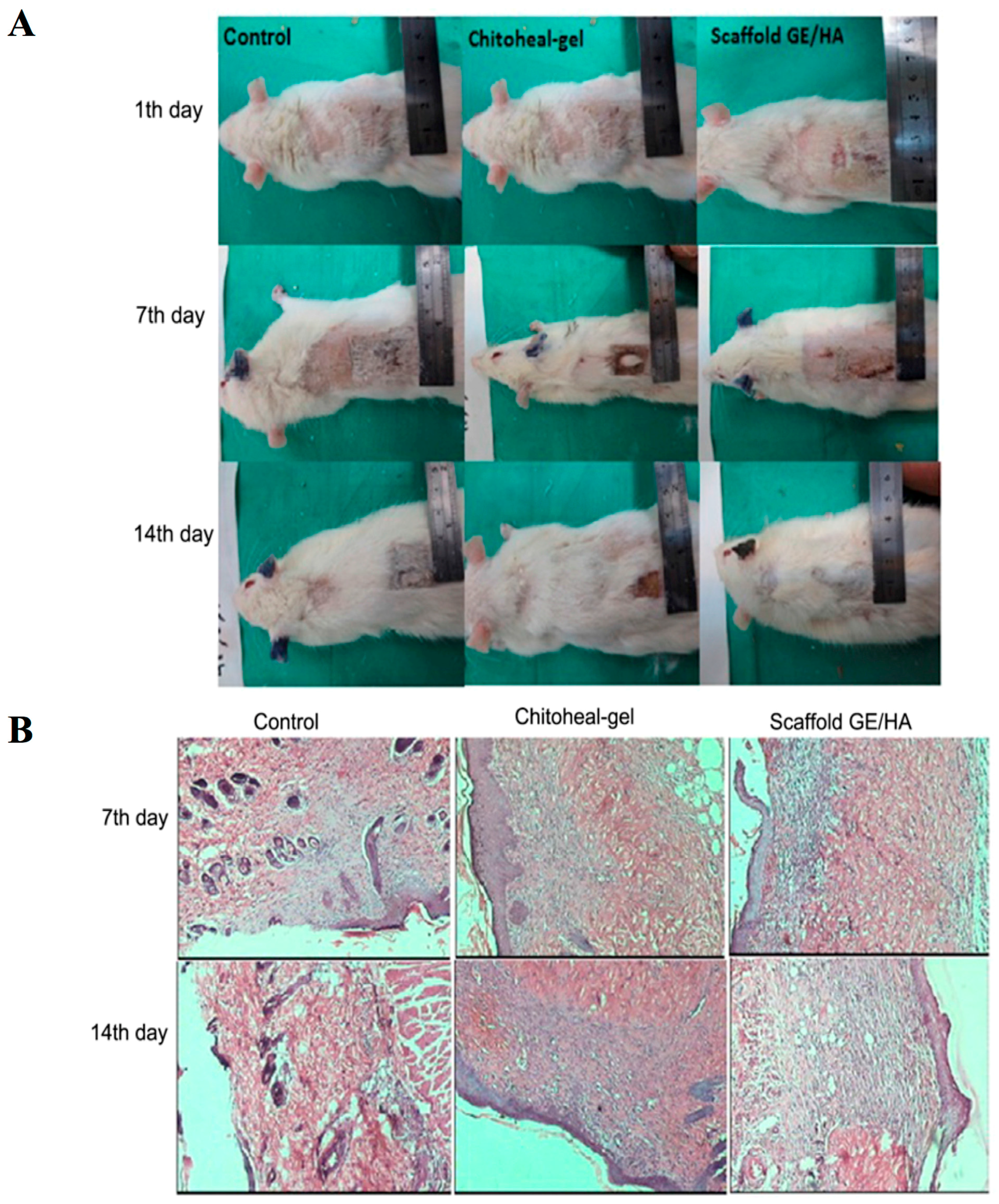 Materials 10 00929 g008