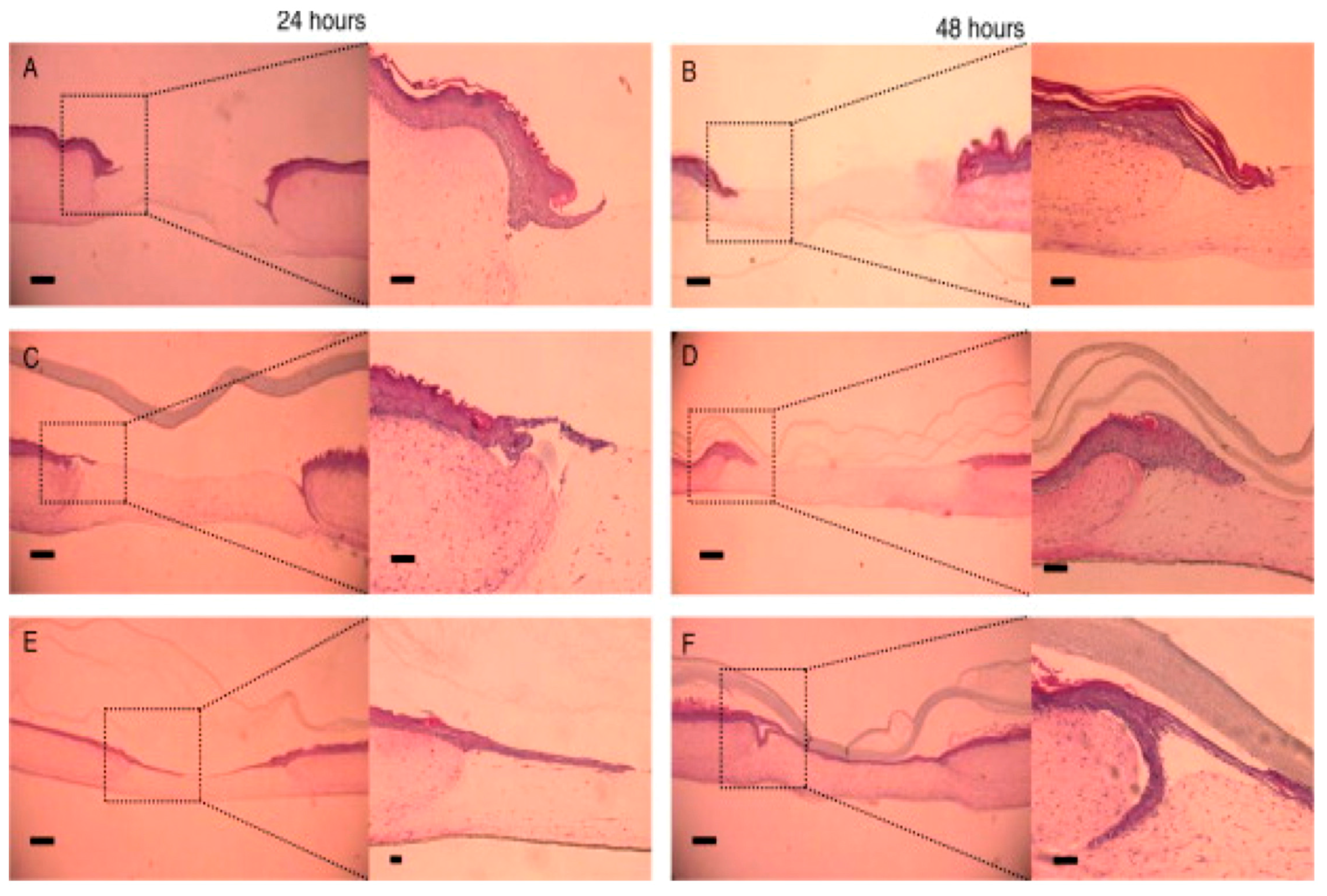 Materials 10 00929 g009