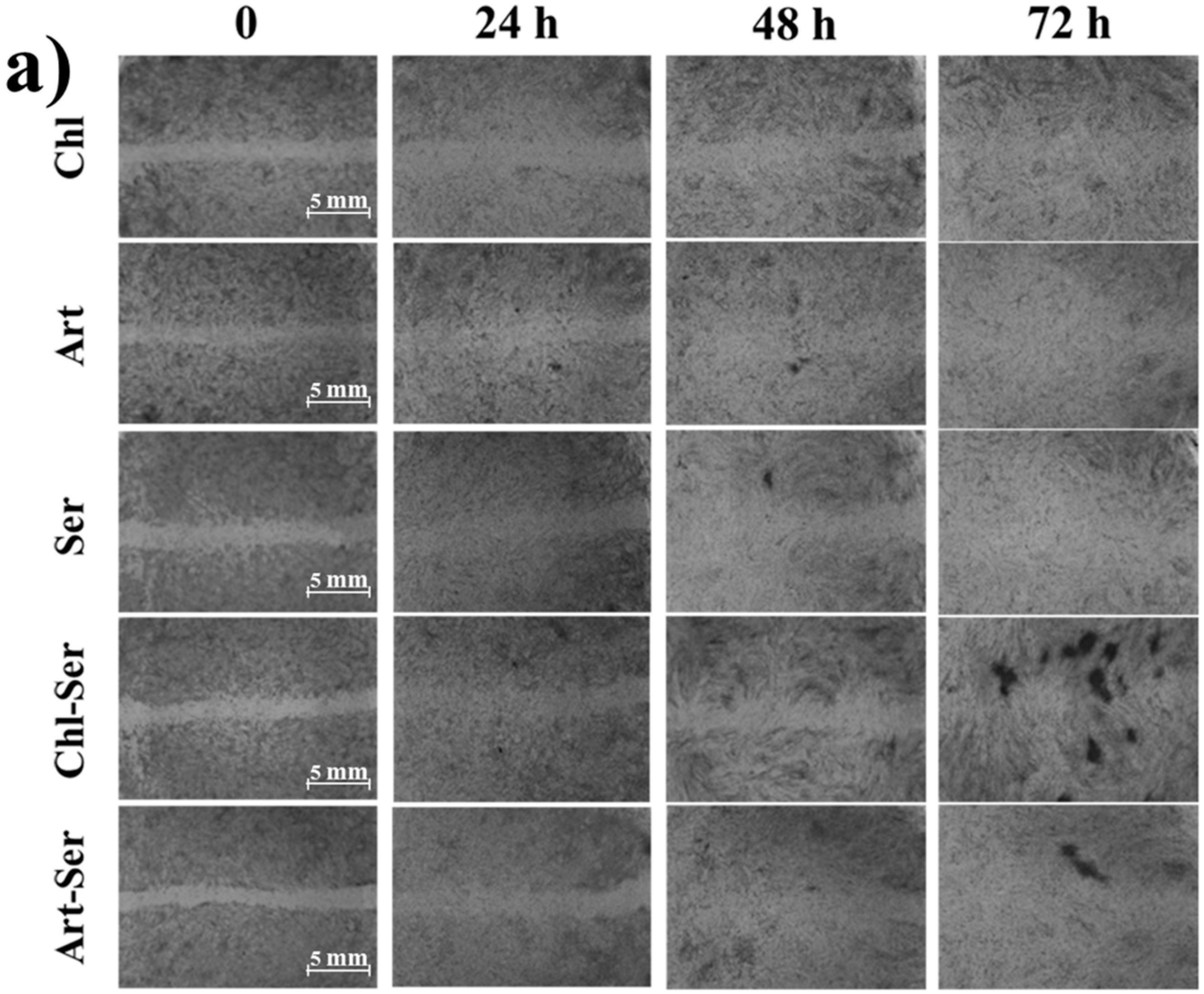 Materials 10 00983 g006a