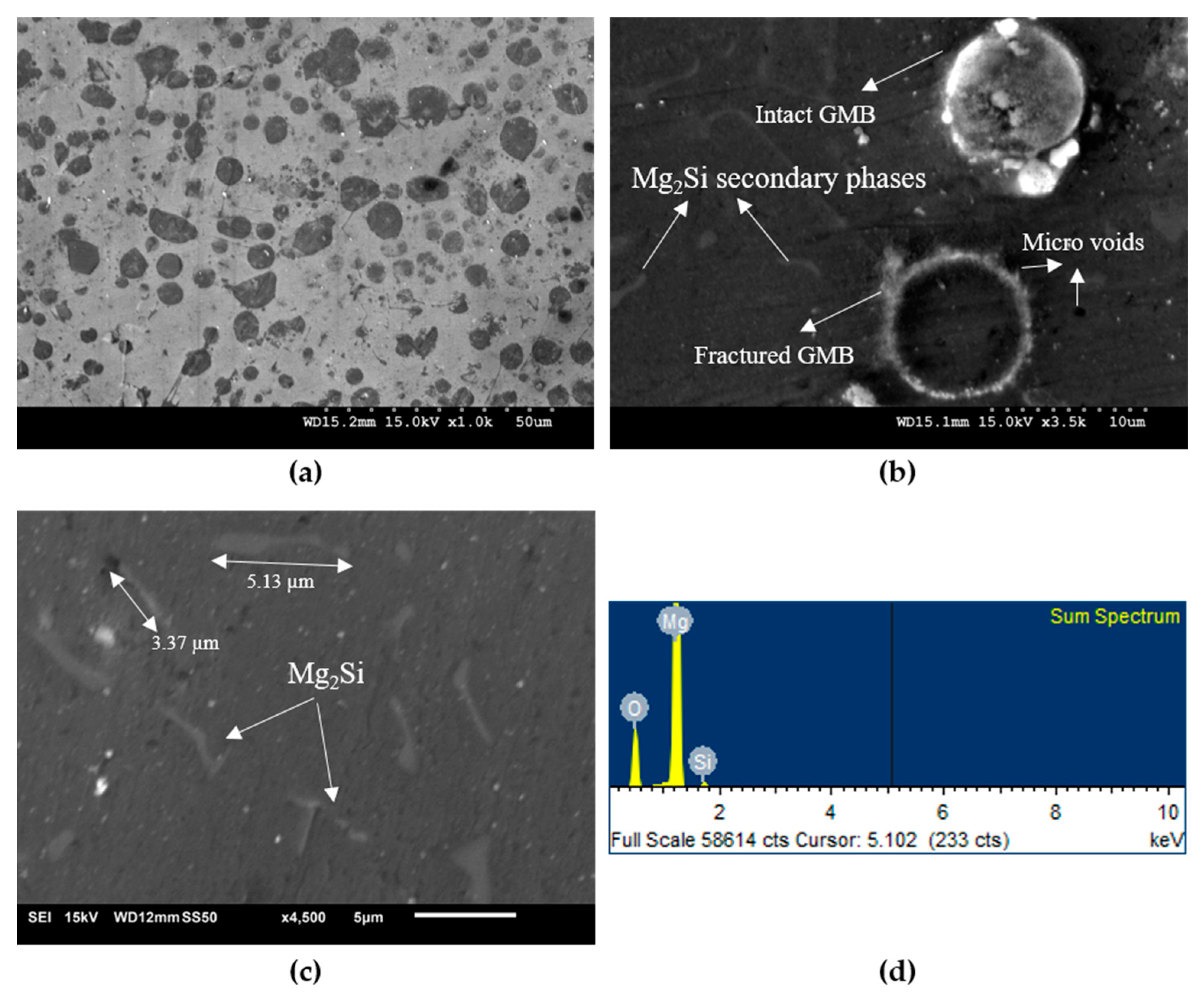 Materials 10 00997 g001
