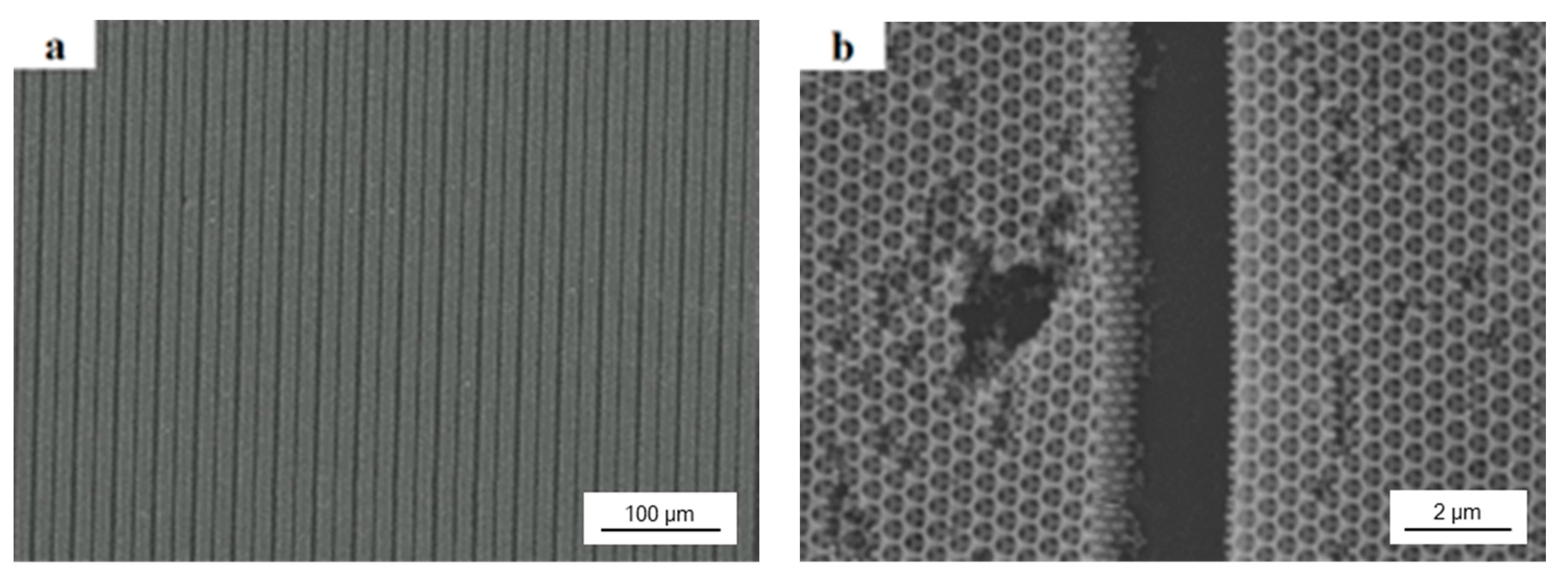 Materials 10 01035 g006
