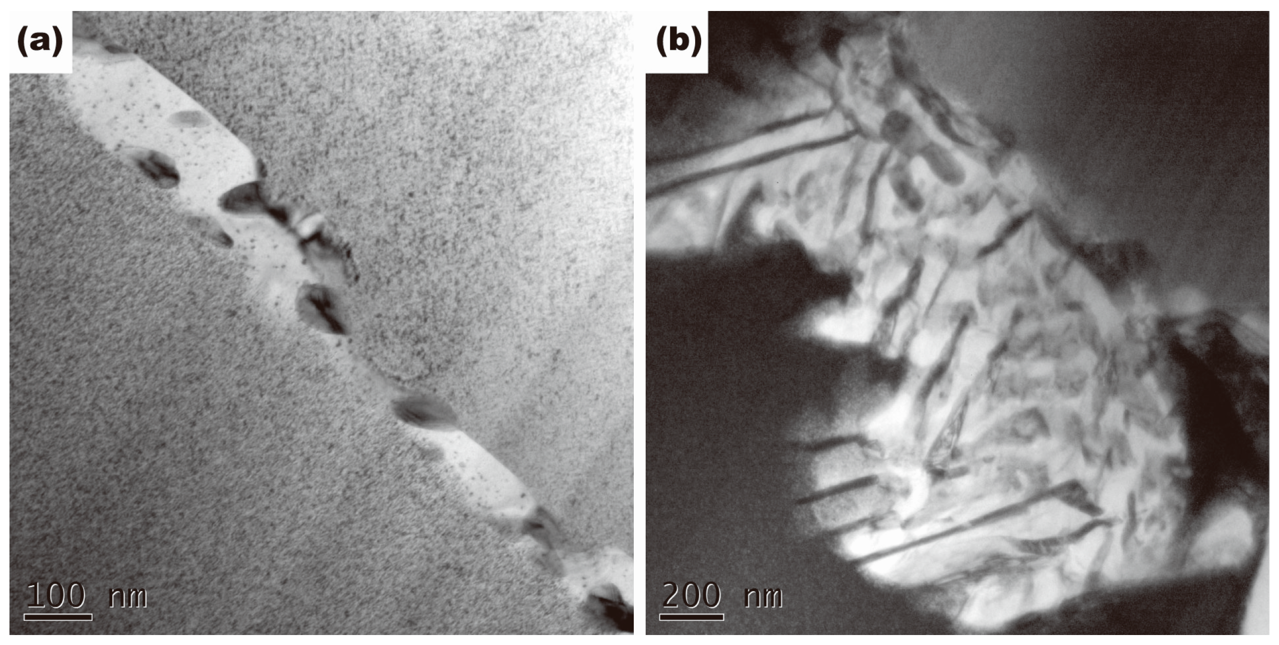 Materials 10 01038 g005