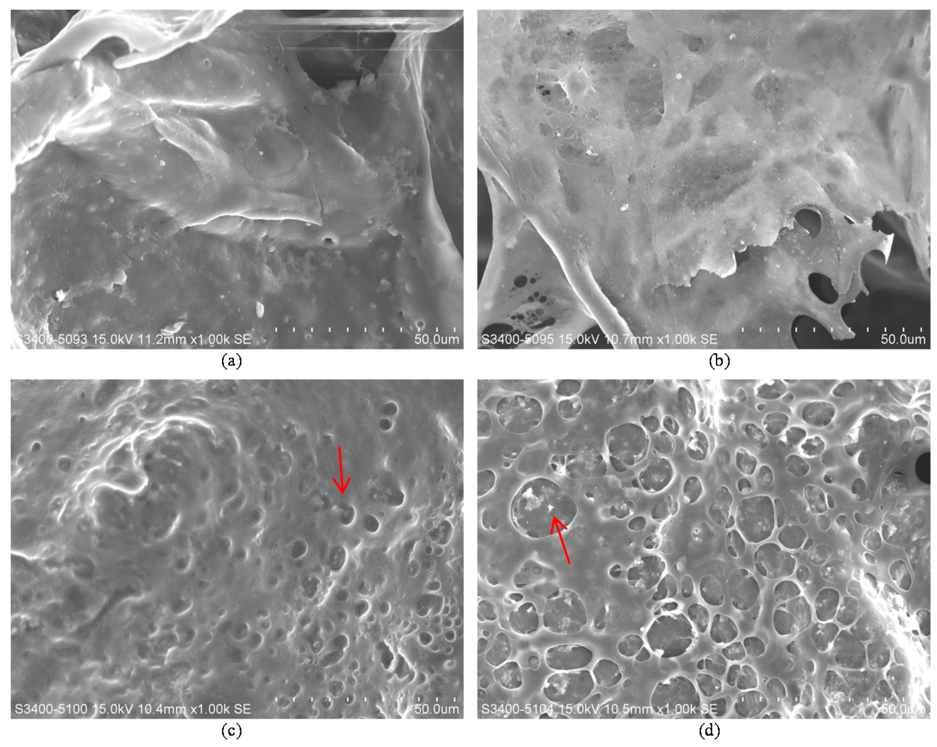 Materials 10 01042 g007