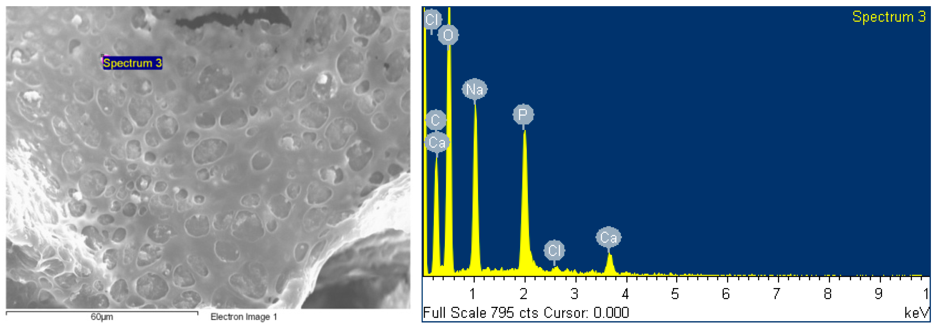 Materials 10 01042 g008