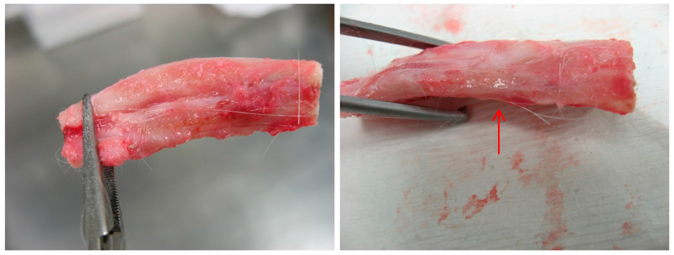 Materials 10 01042 g013
