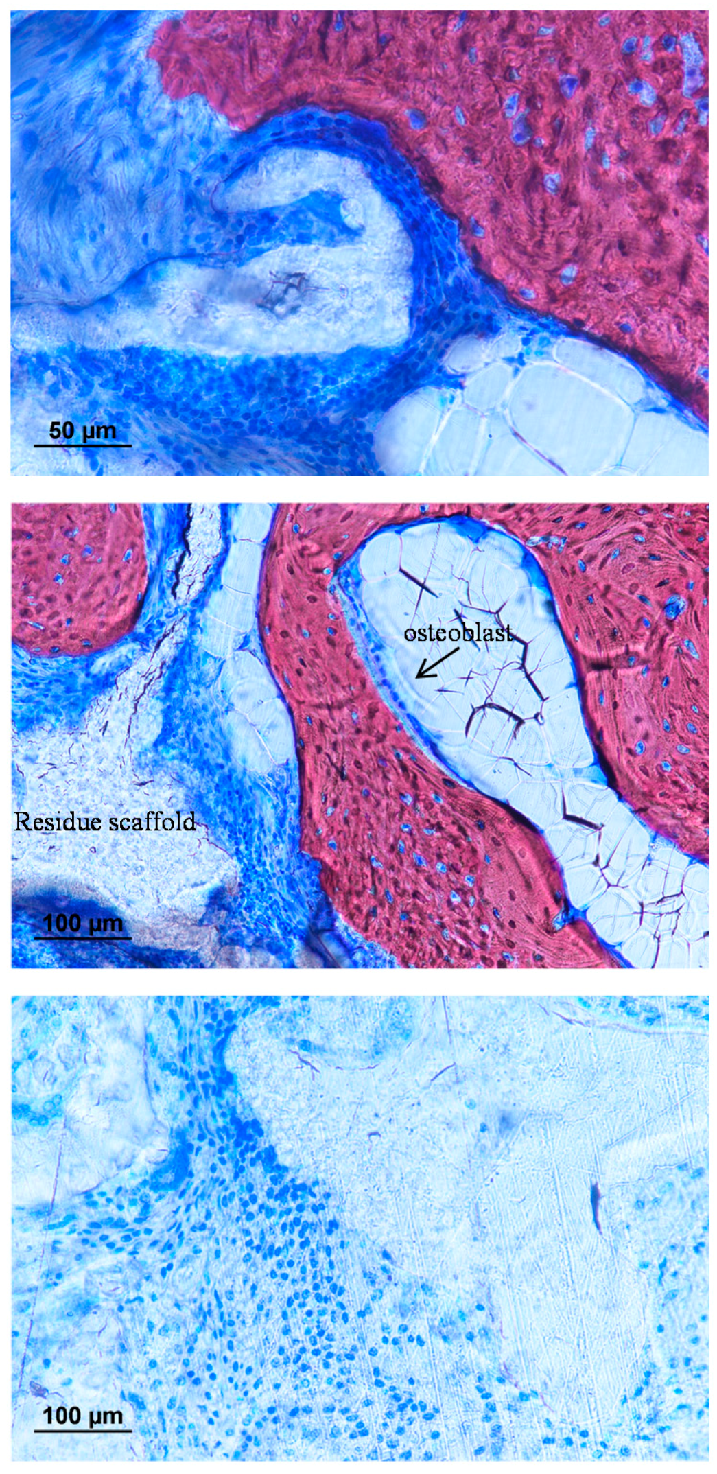 Materials 10 01042 g017