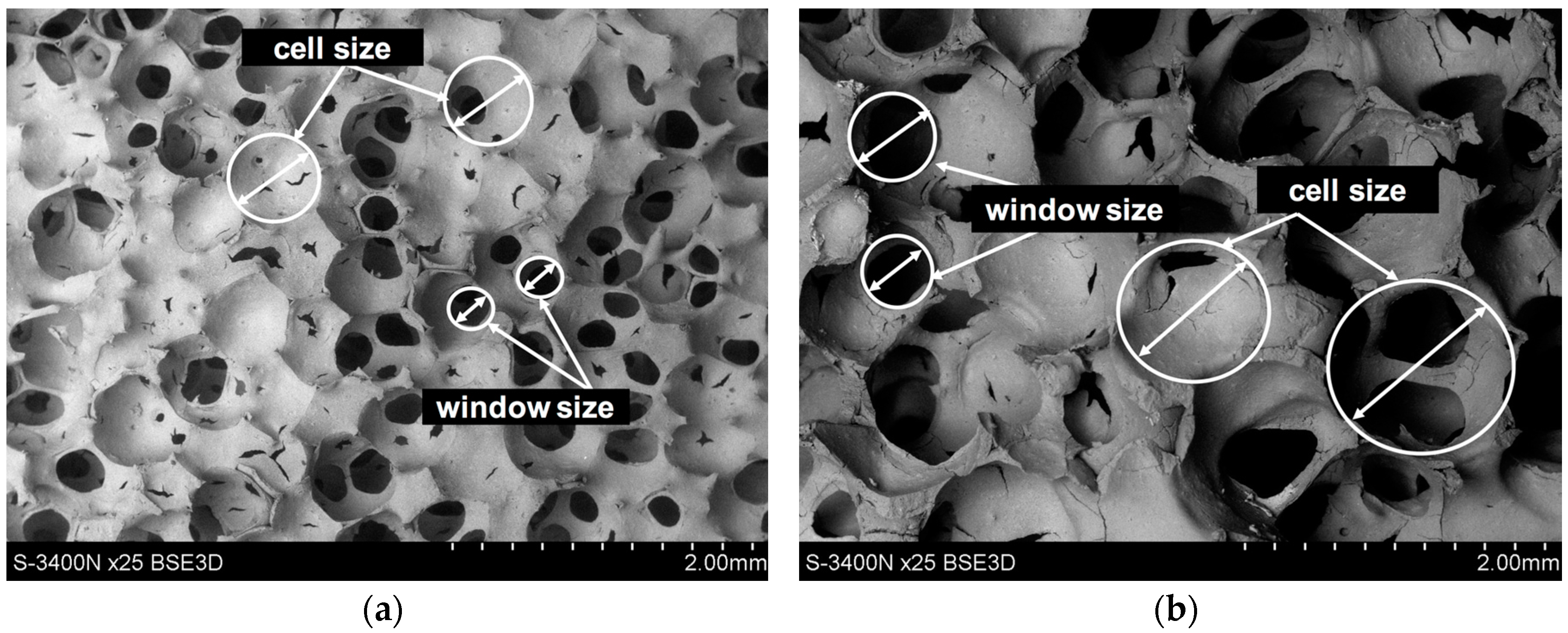 Materials 10 01045 g001