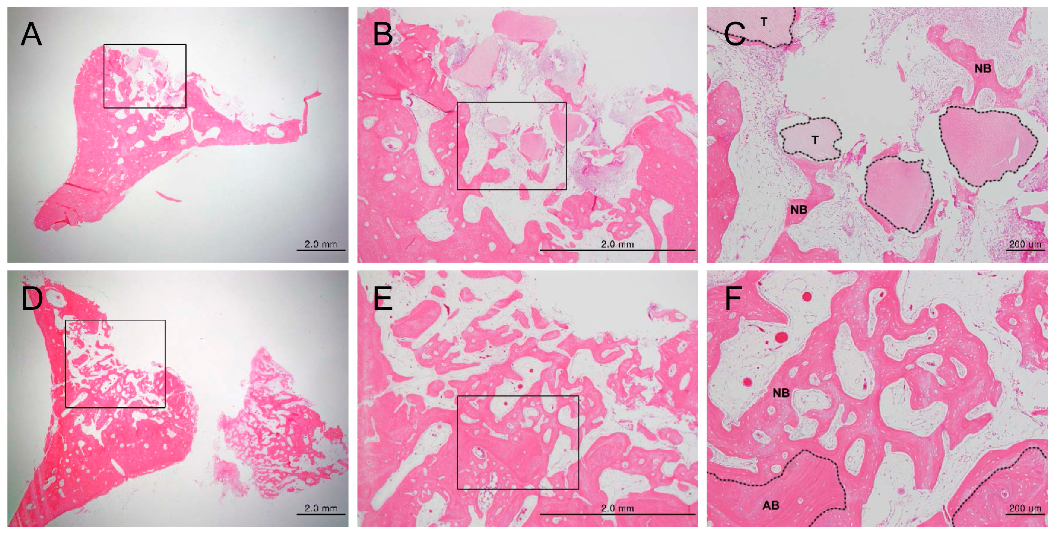Materials 10 01049 g003
