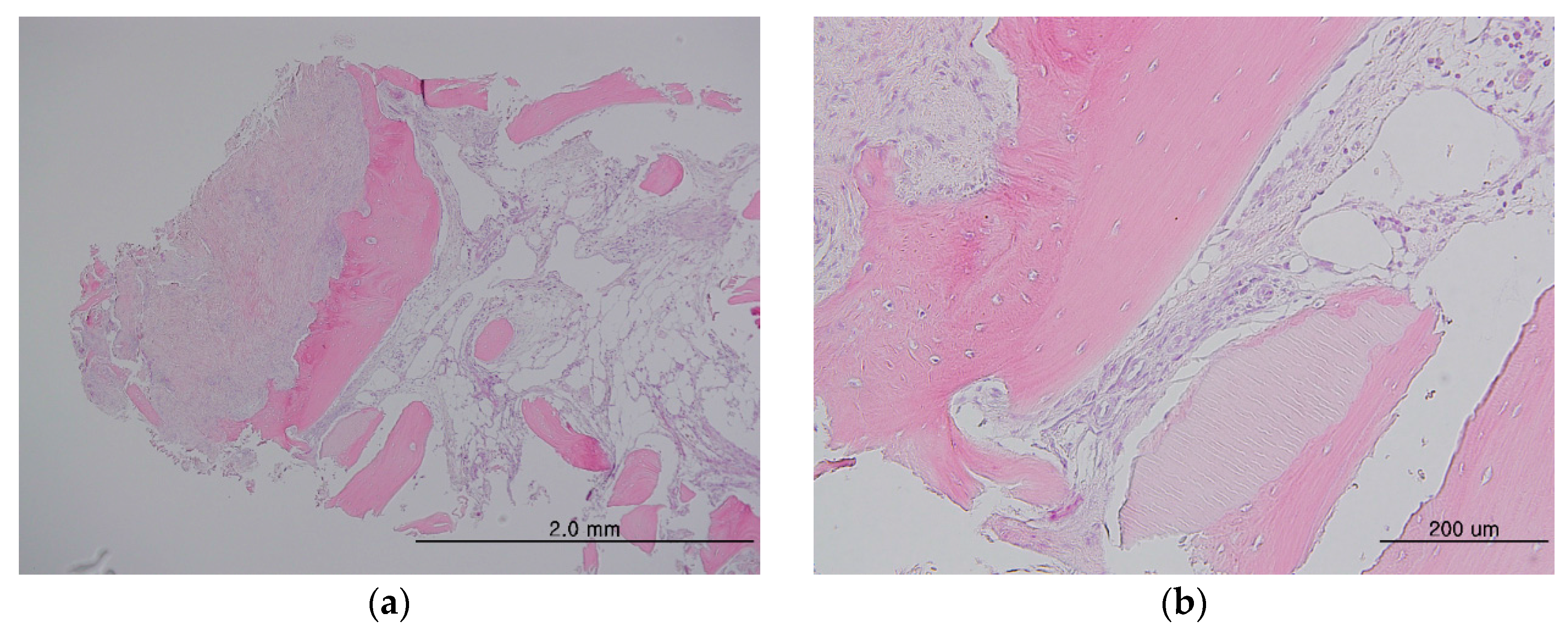 Materials 10 01049 g008