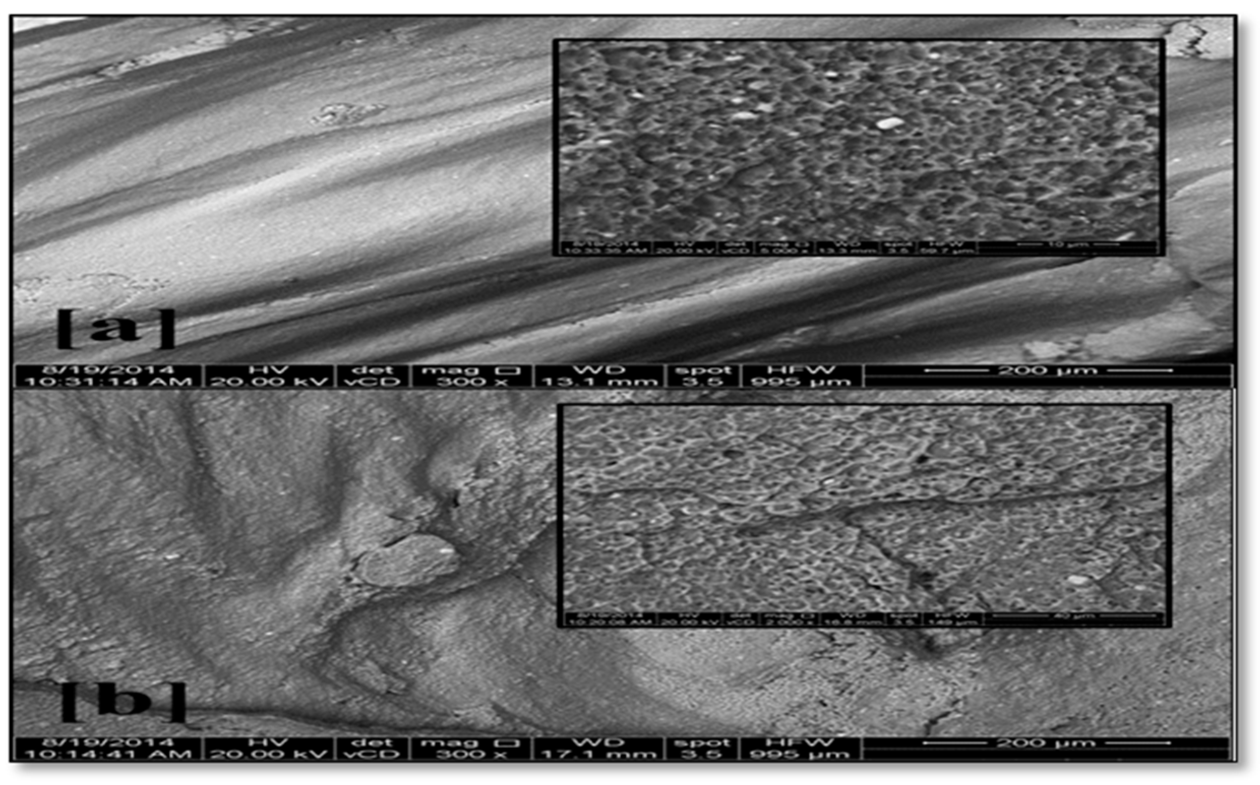 Materials 10 01053 g010