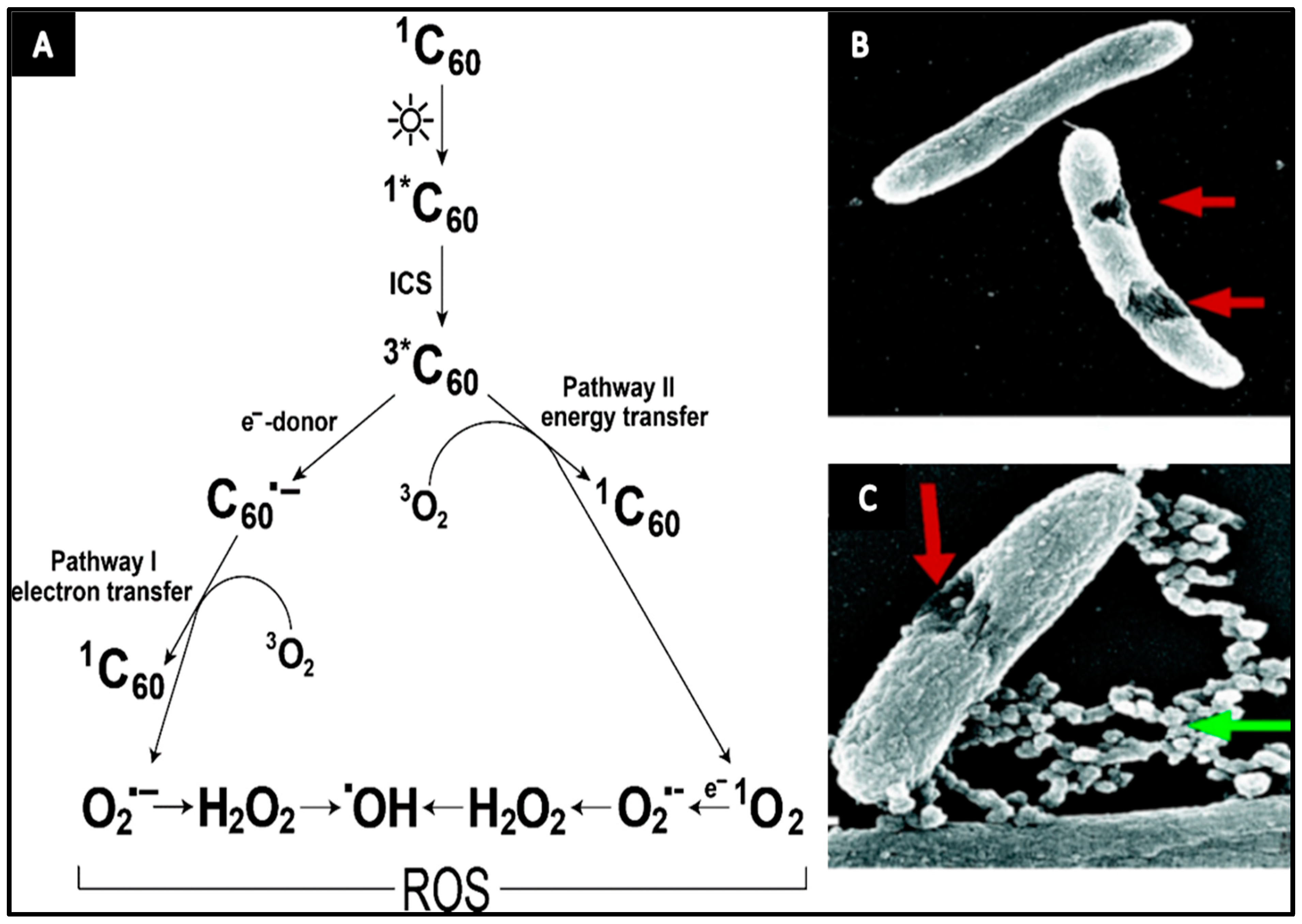 Materials 10 01066 g002