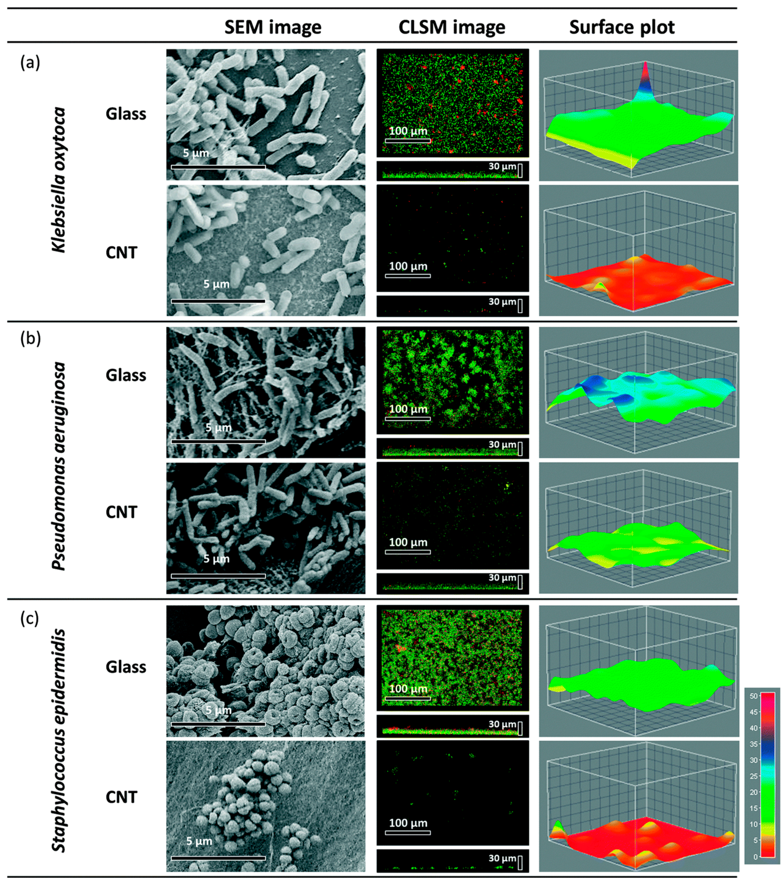 Materials 10 01066 g003