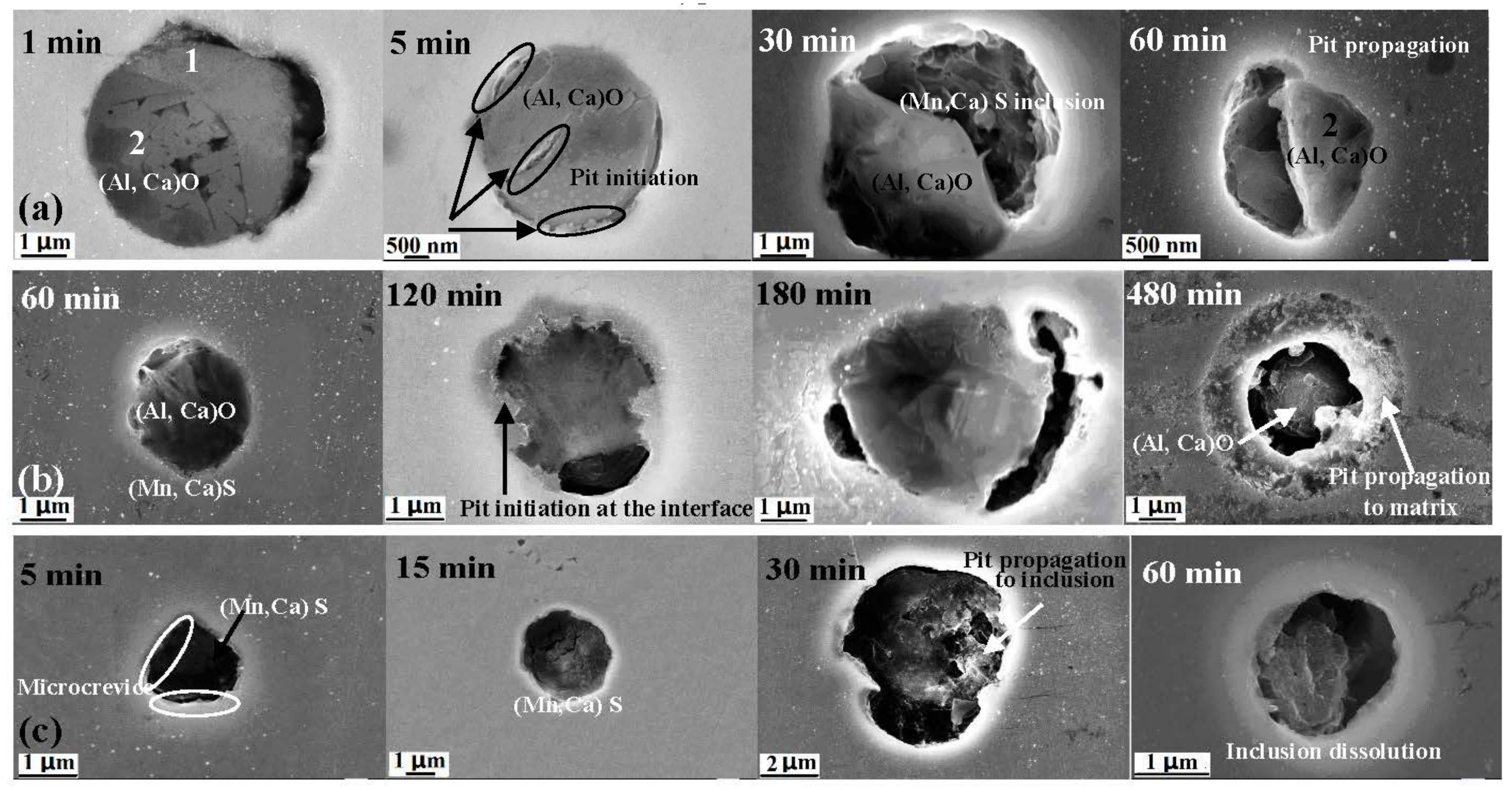 Materials 10 01076 g007