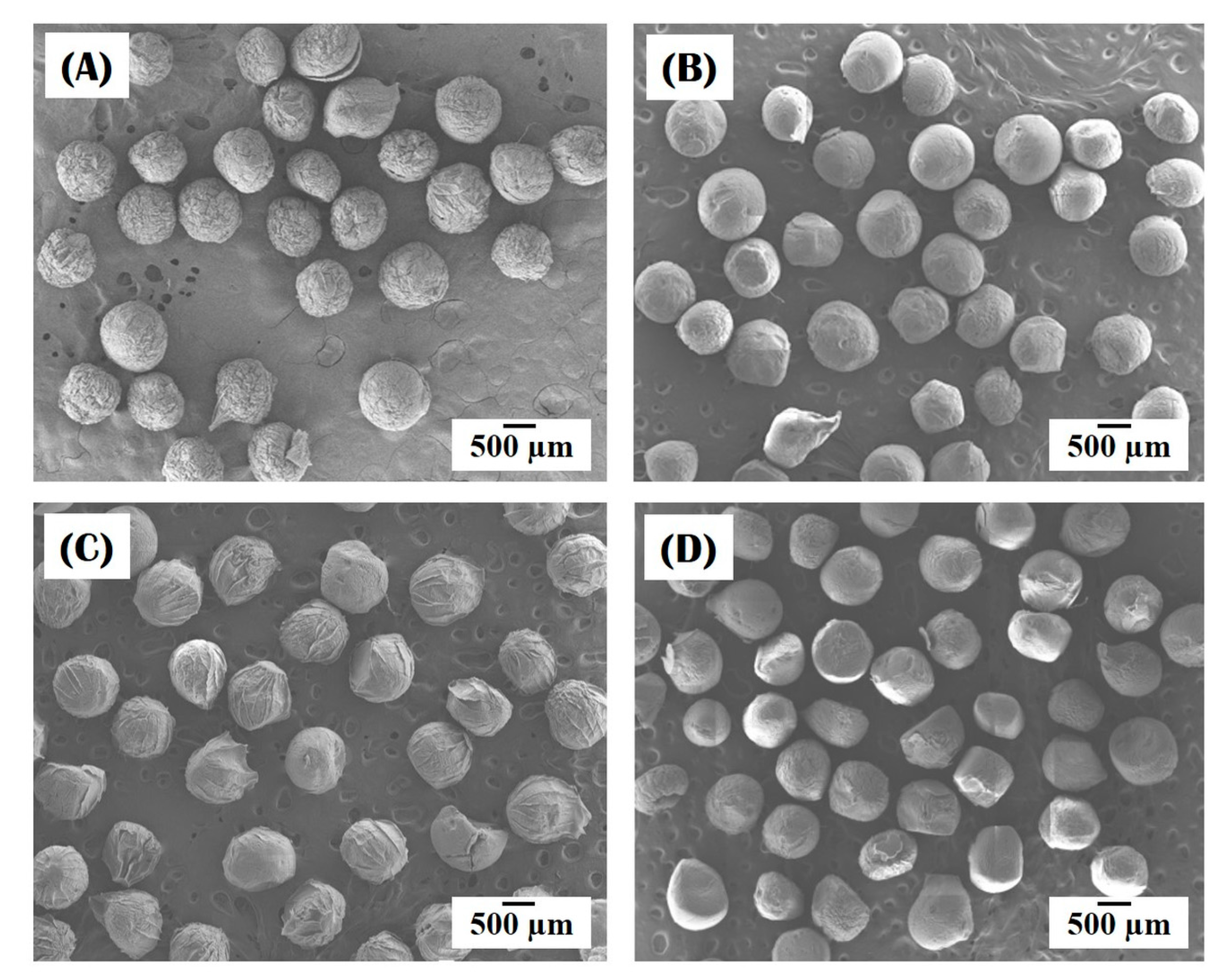 Materials 10 01110 g002