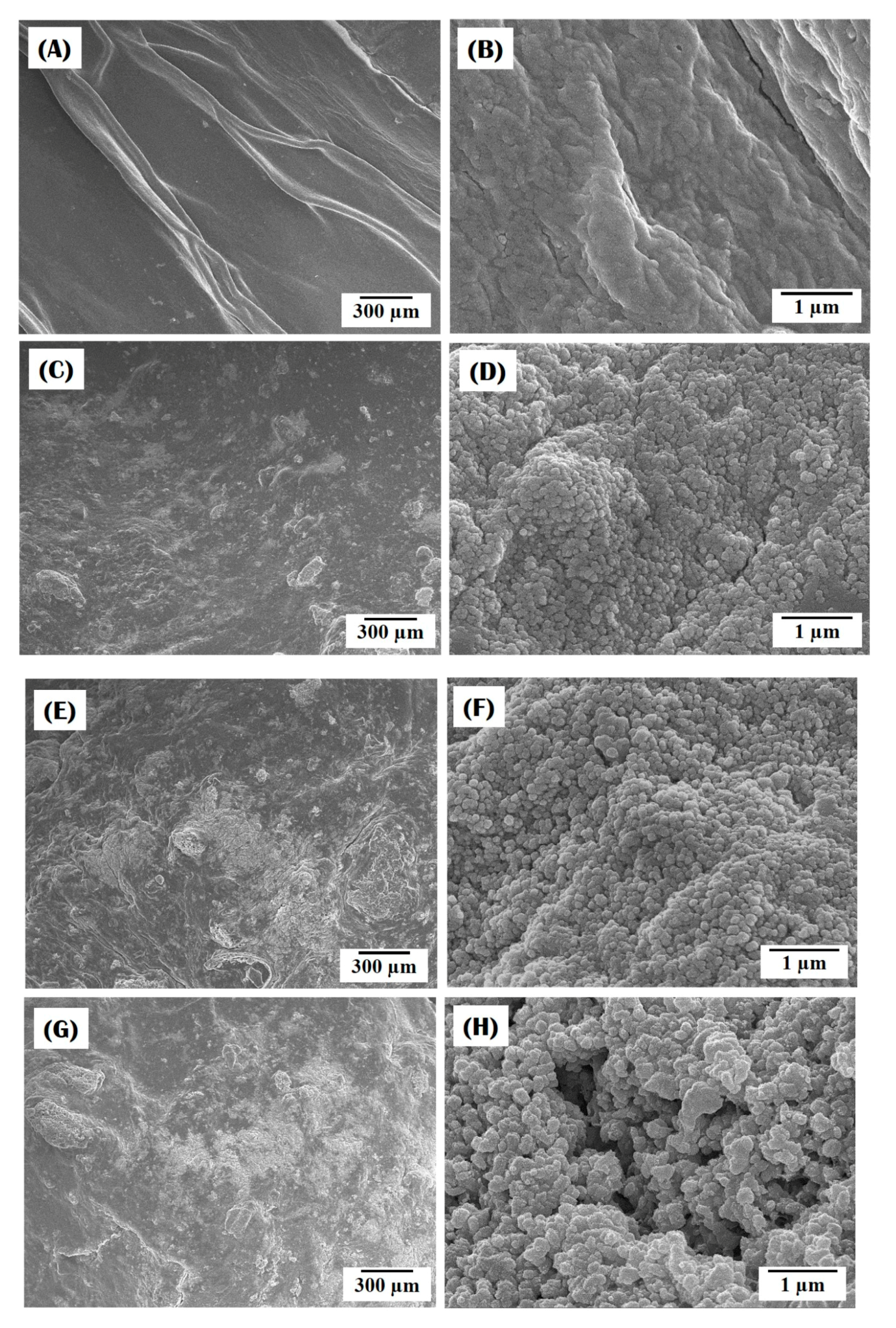 Materials 10 01110 g006