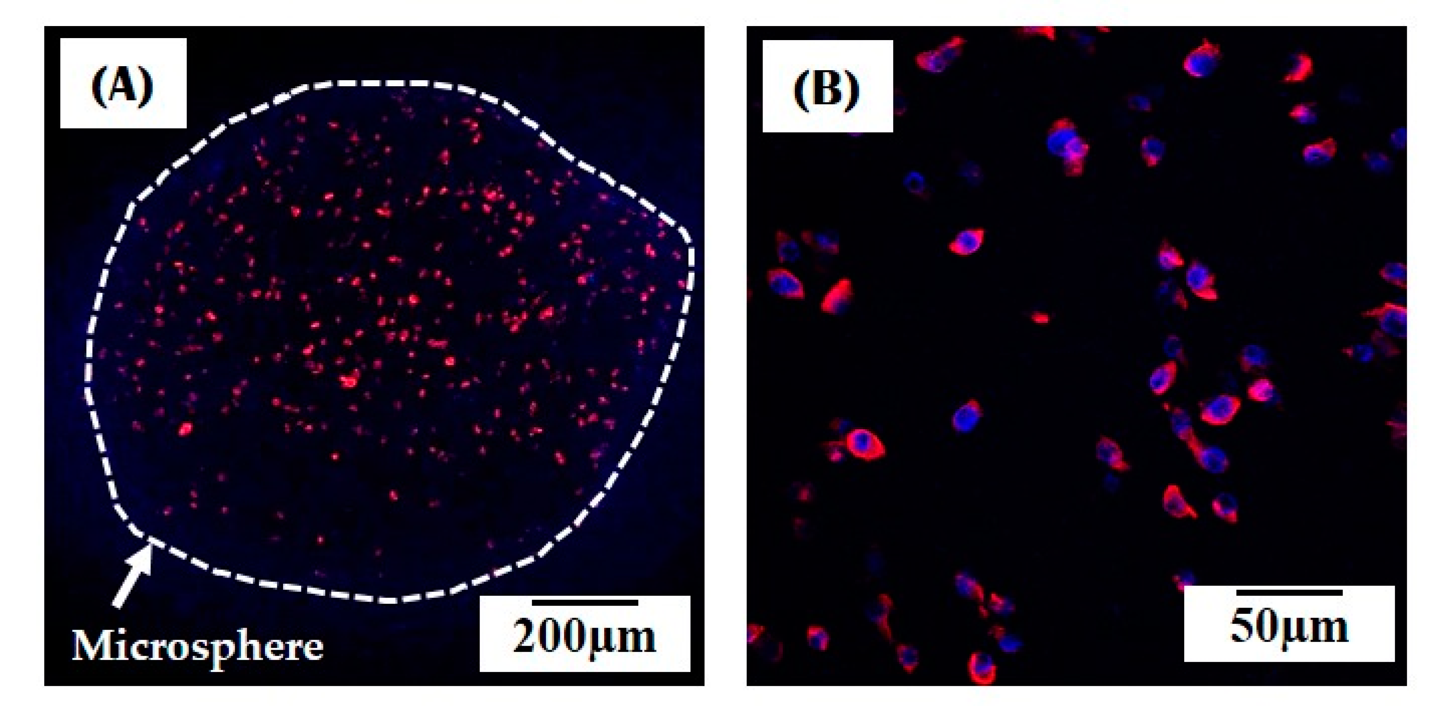 Materials 10 01110 g011