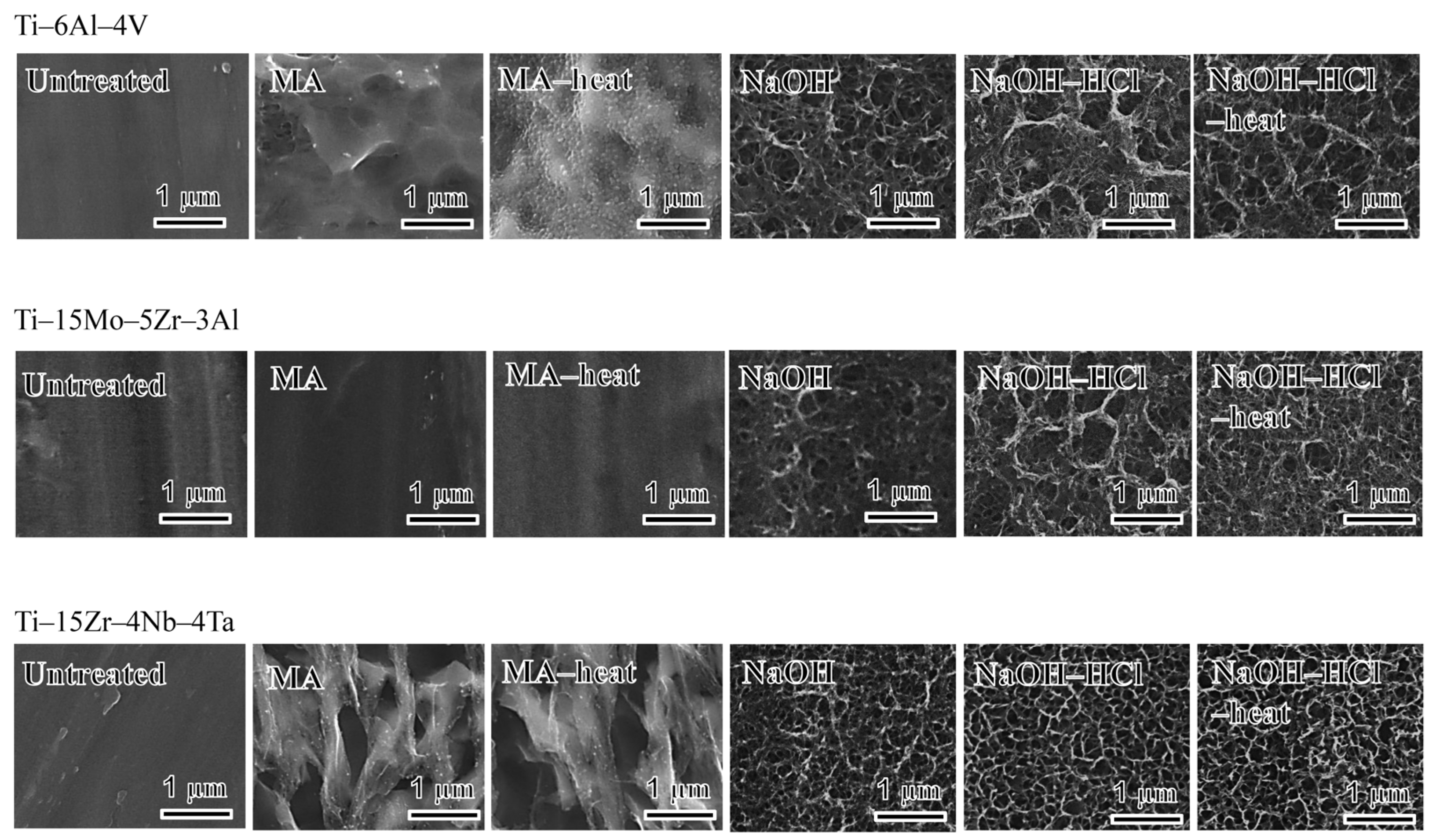 Materials 10 01127 g001