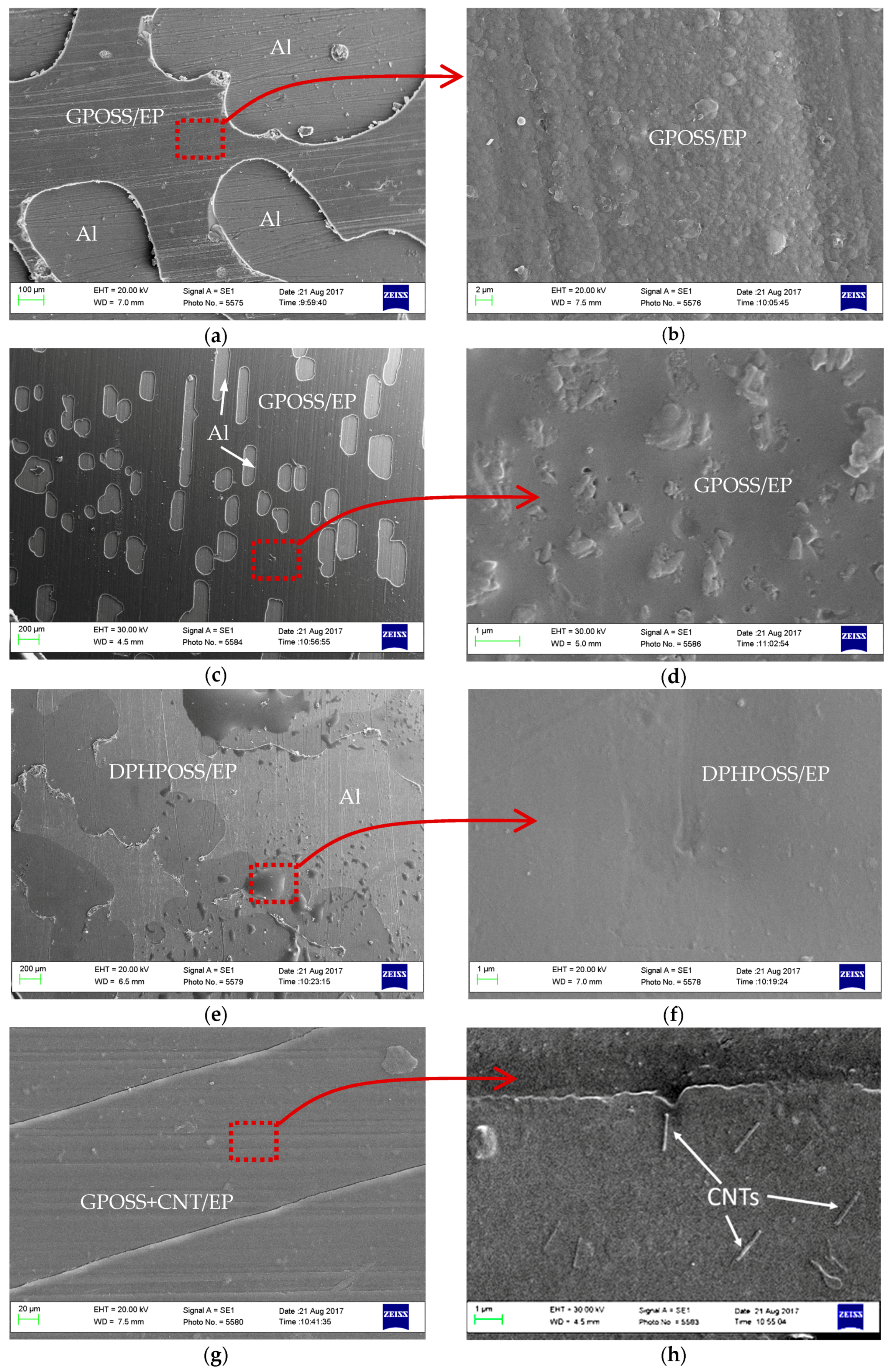 Materials 10 01131 g010