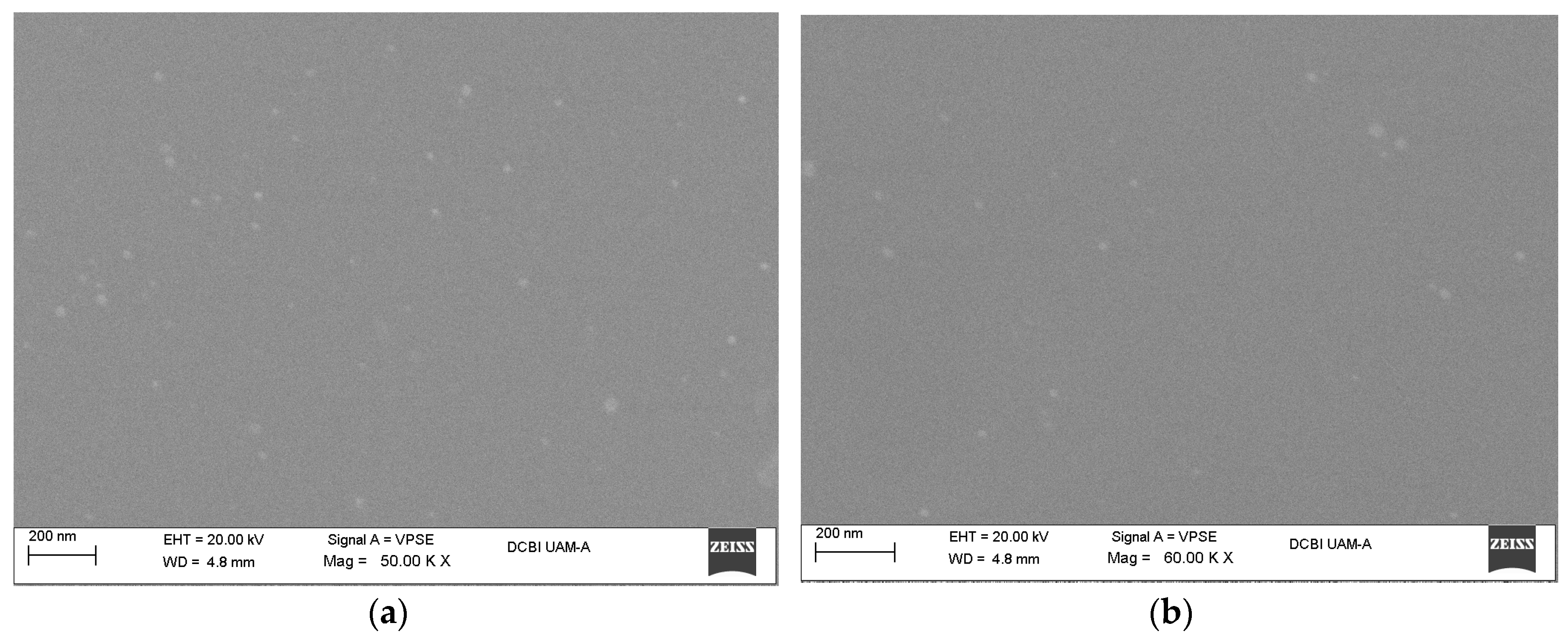 Materials 10 01135 g001