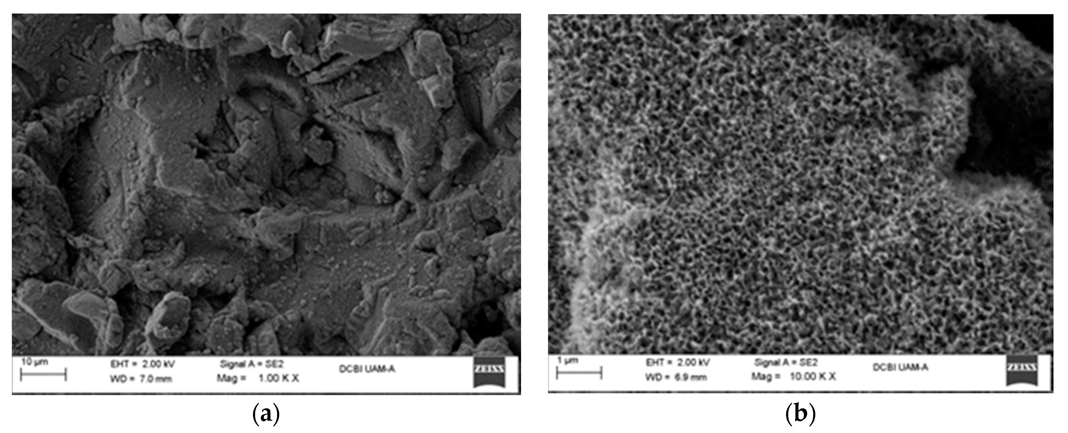 Materials 10 01135 g010