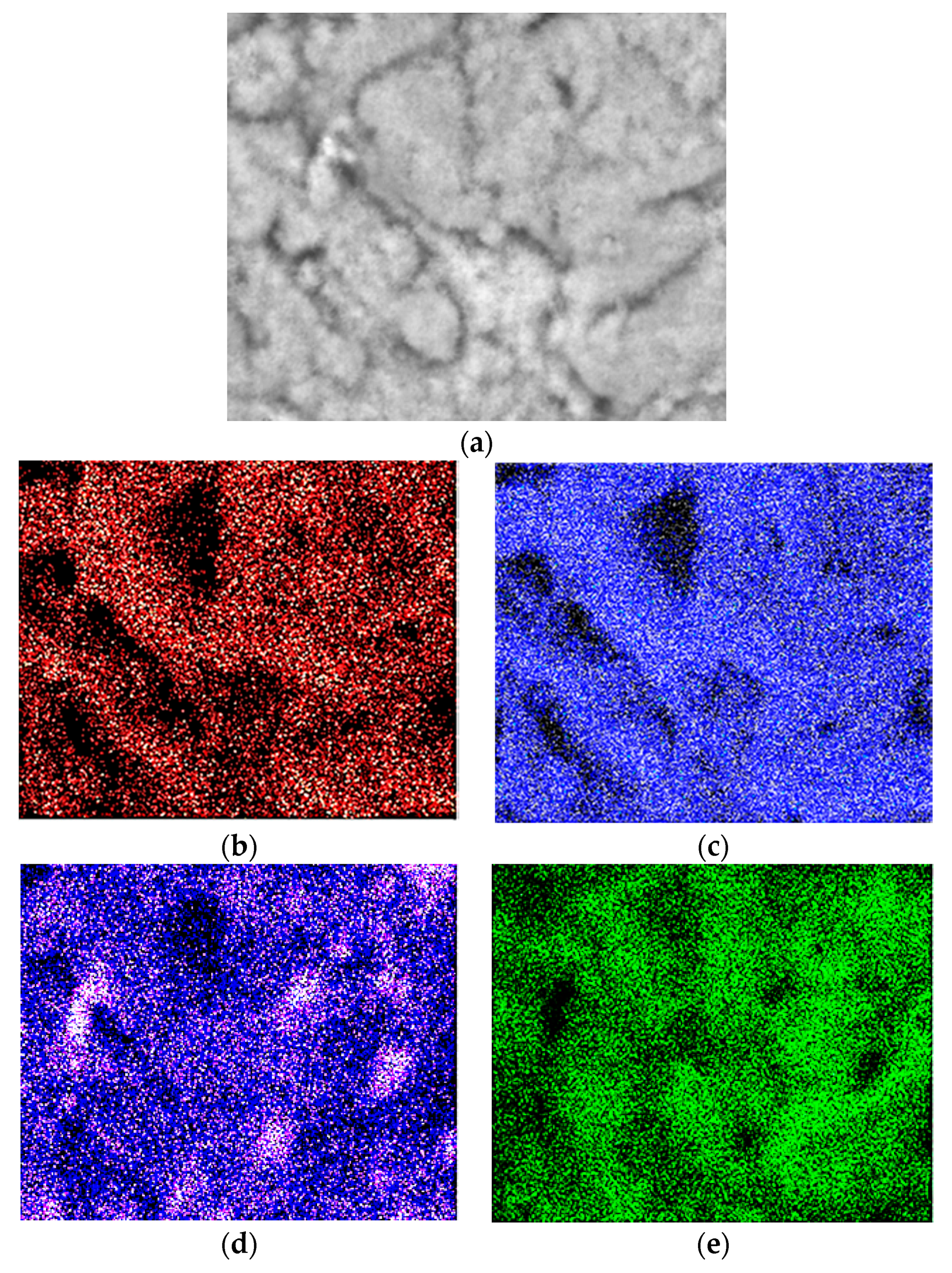 Materials 10 01135 g011
