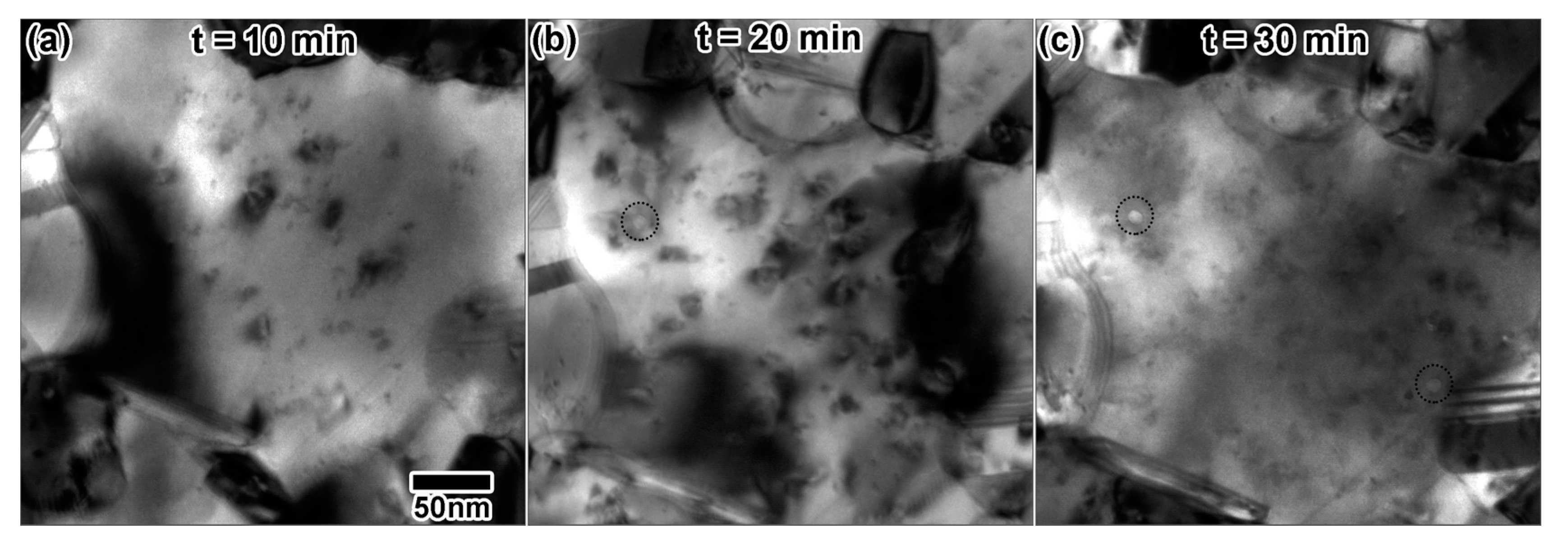 Materials 10 01148 g010
