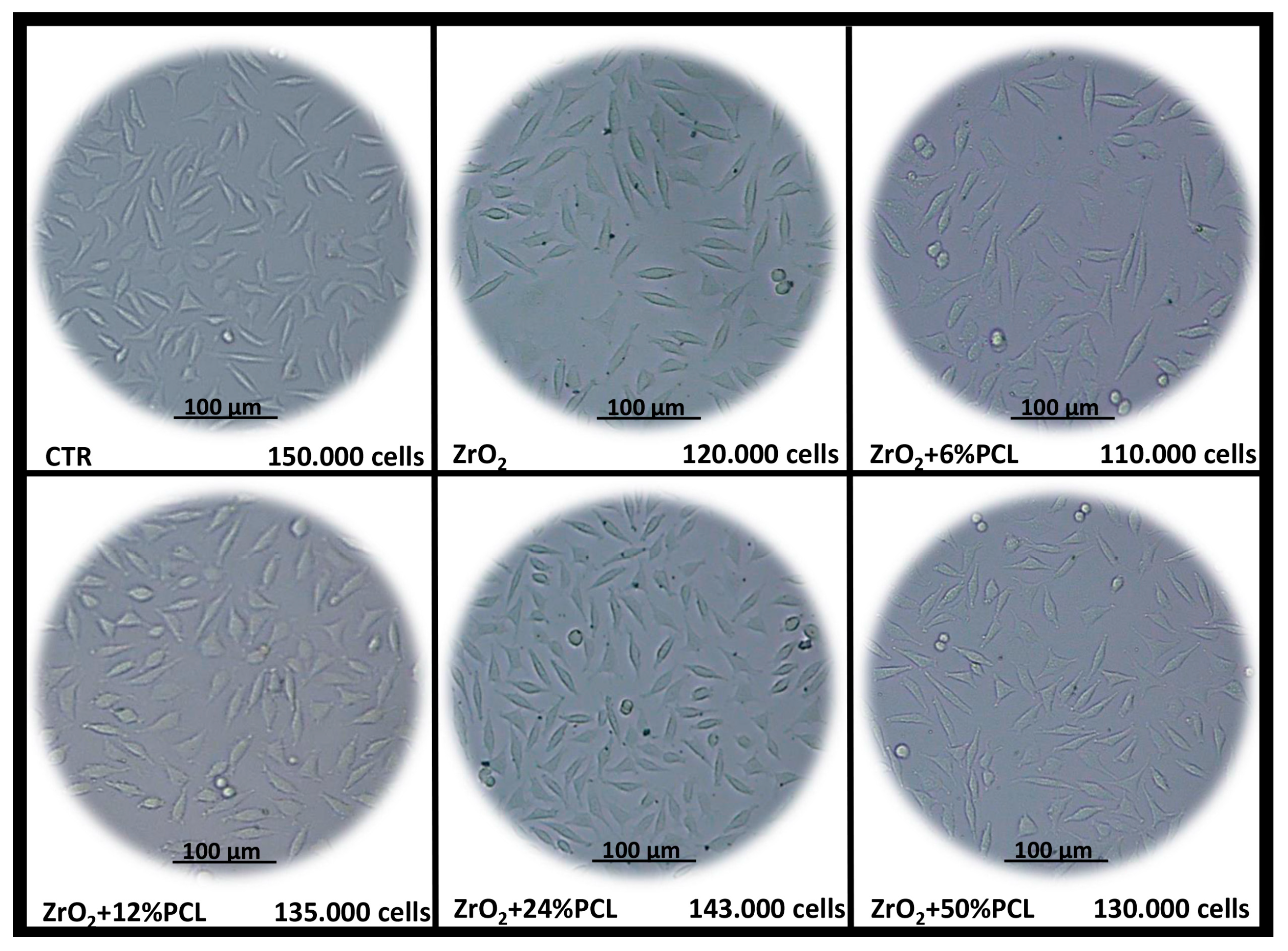 Materials 10 01186 g001