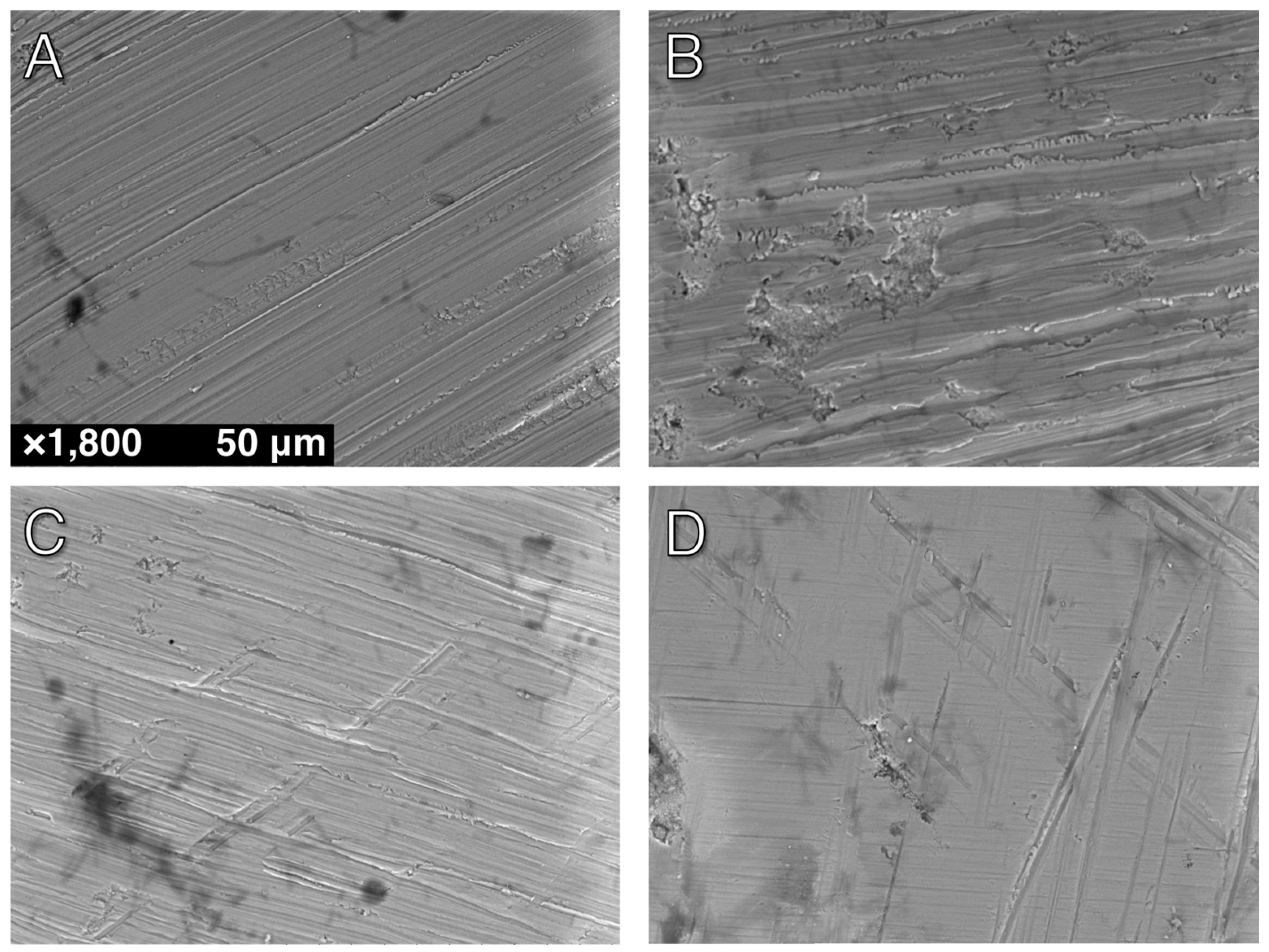 Materials 10 01358 g001