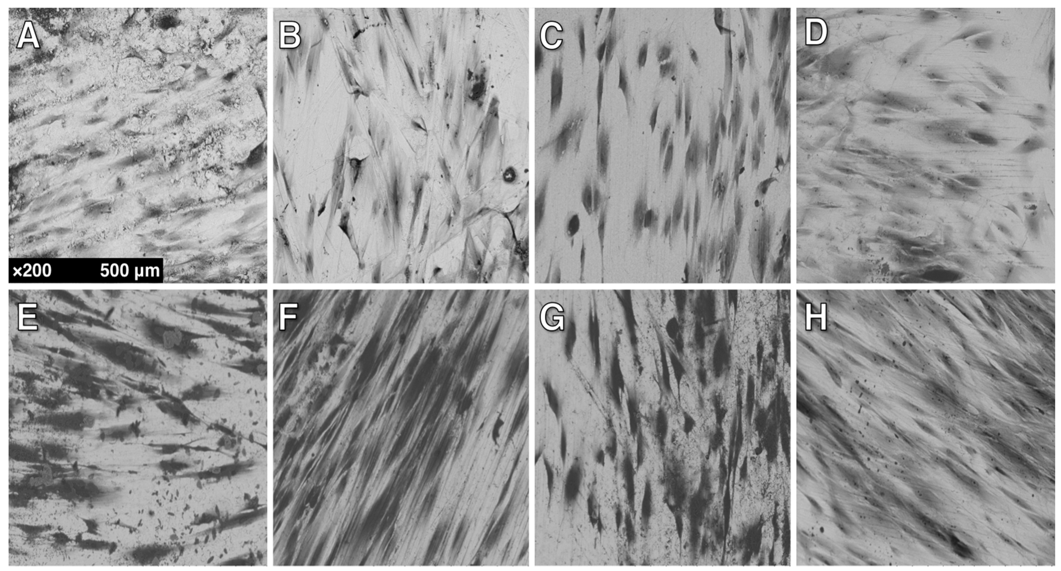 Materials 10 01358 g006