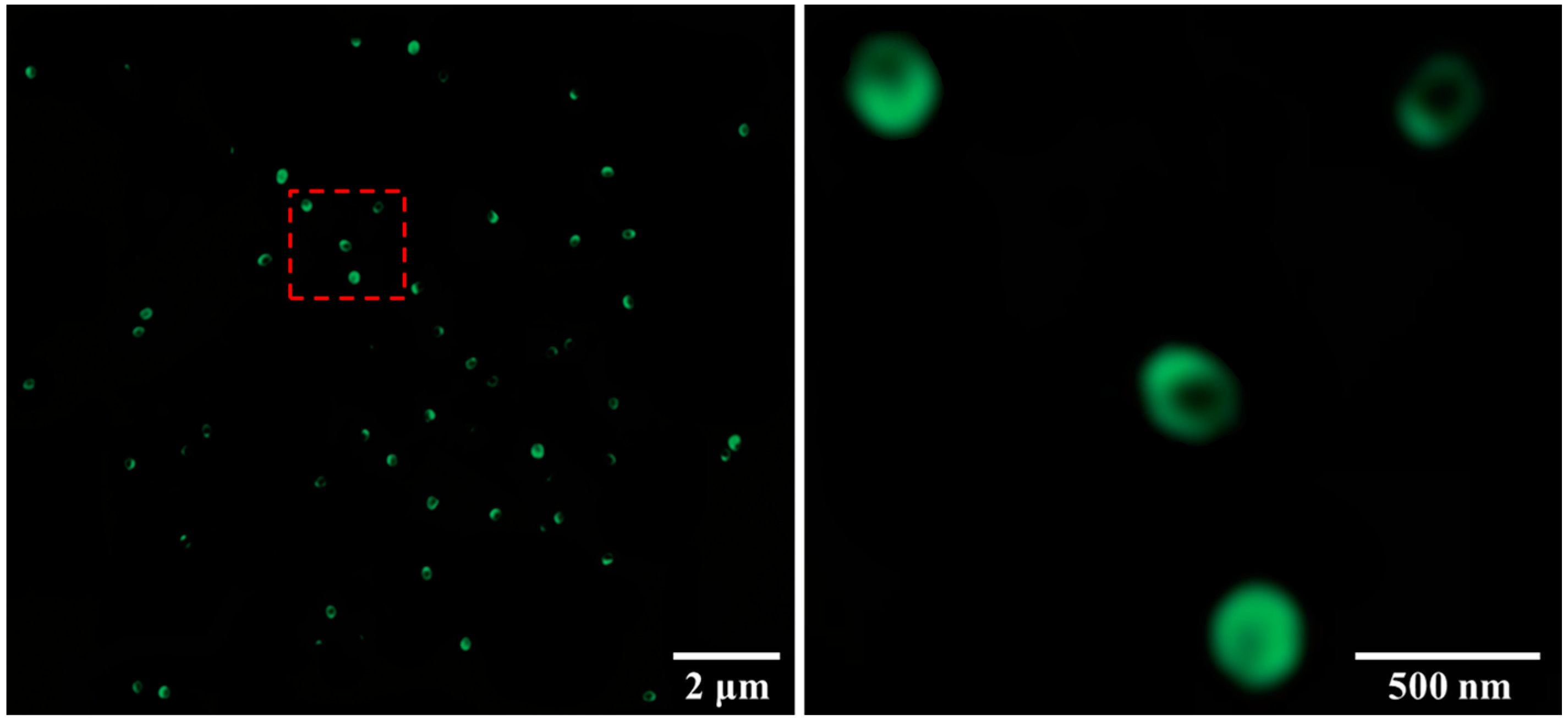 download chemical biology approaches to drug discovery and development to targeting disease 2012