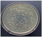 Materials 11 00323 i001