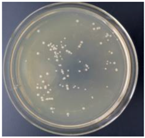 Materials 11 00323 i003