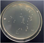 Materials 11 00323 i007