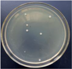 Materials 11 00323 i009