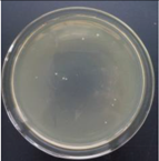 Materials 11 00323 i010