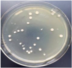 Materials 11 00323 i016