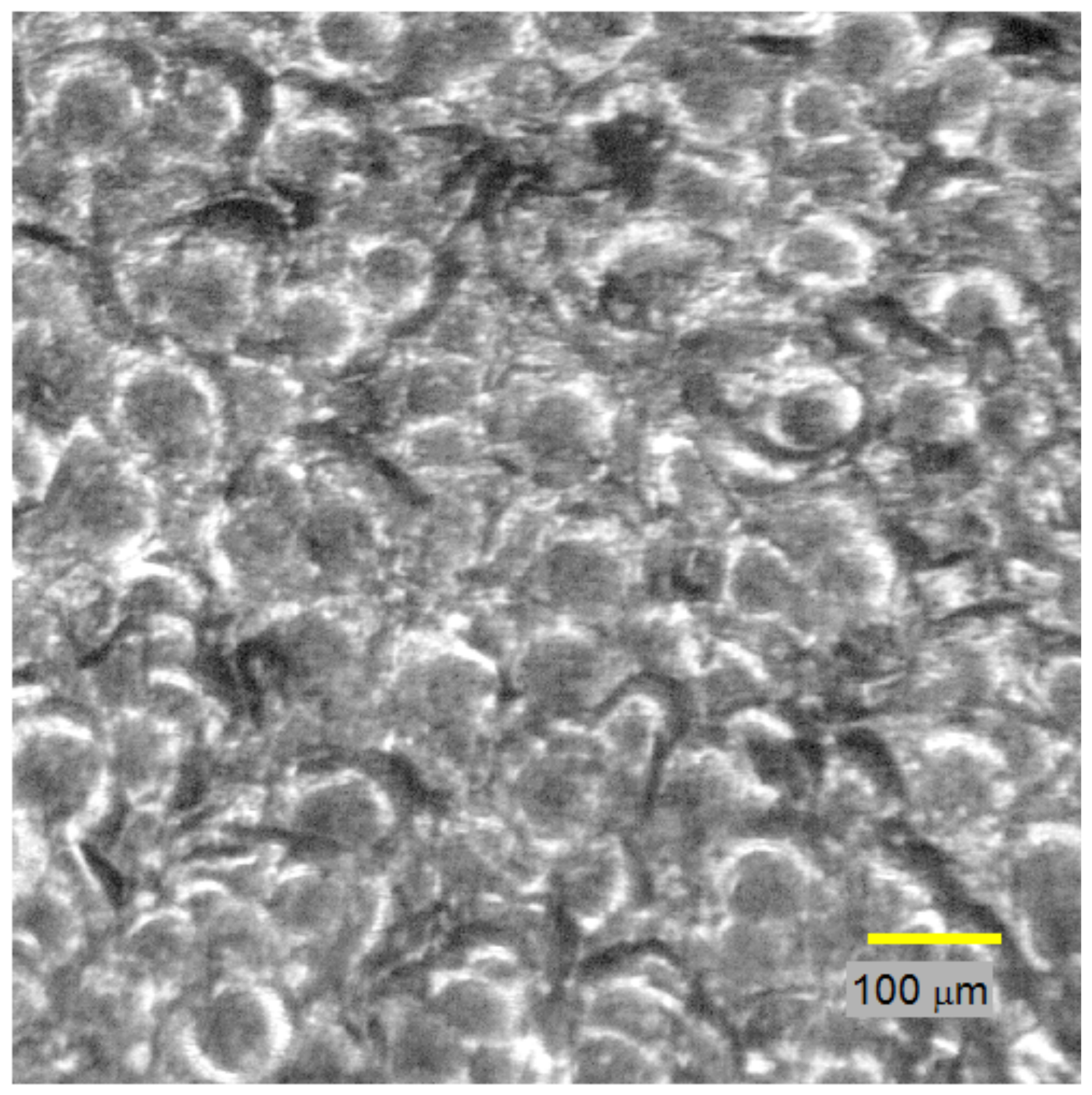 Materials 11 00771 g006