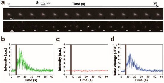 view boy 2 boy meets