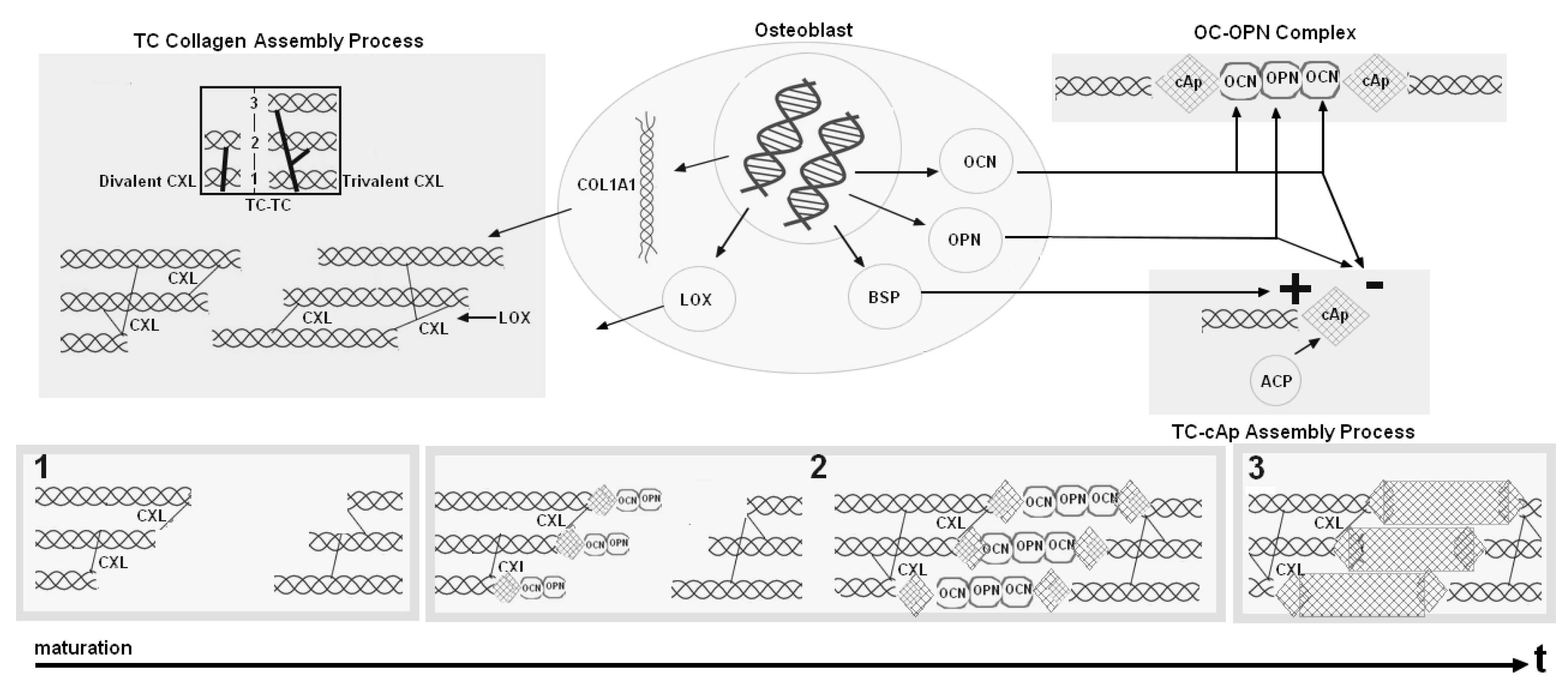 Materials 11 01045 g009