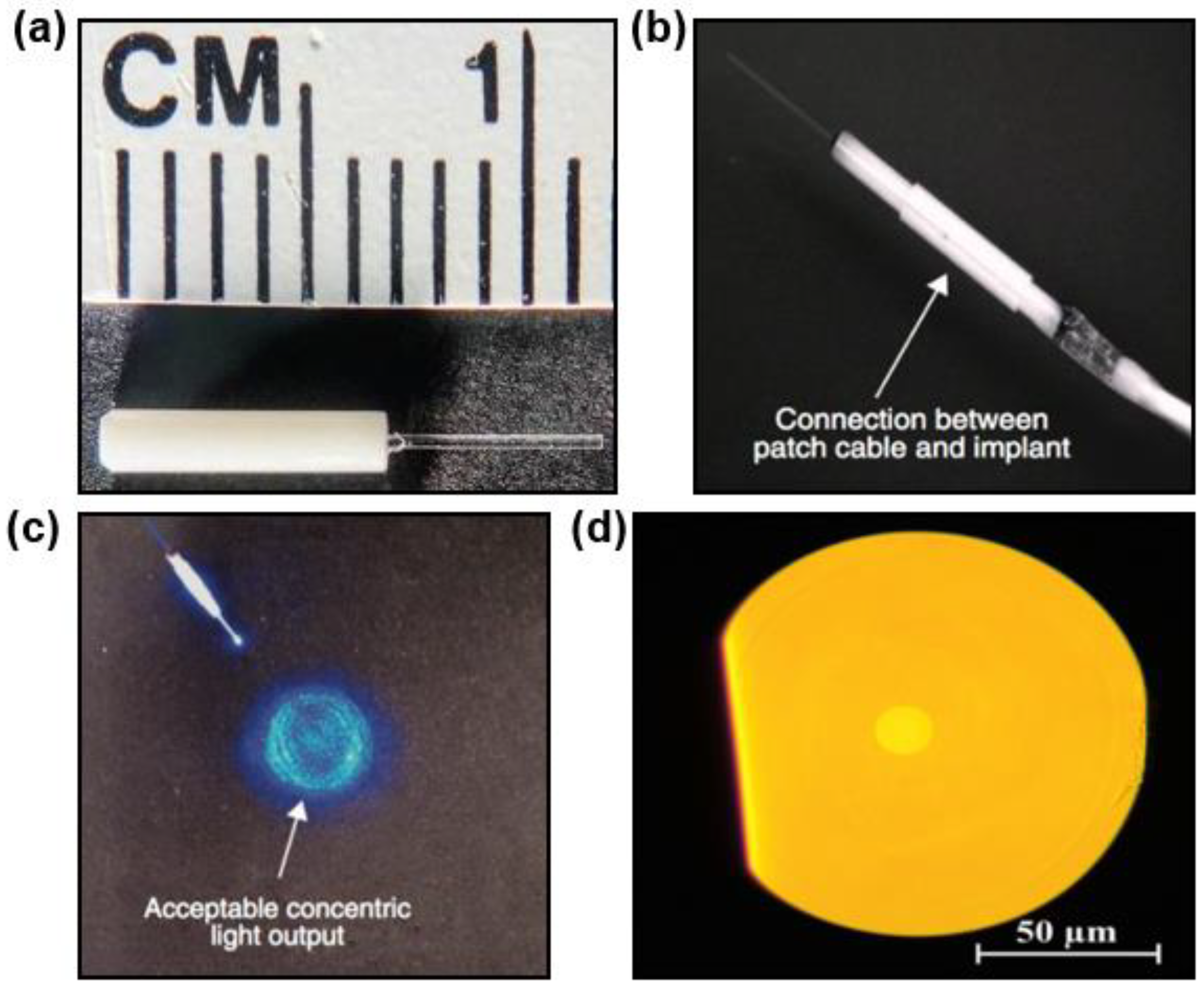 Materials 11 01283 g002