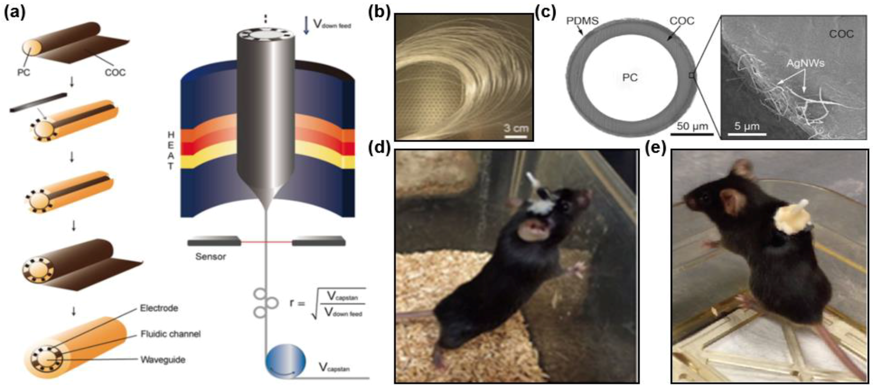 Materials 11 01283 g006